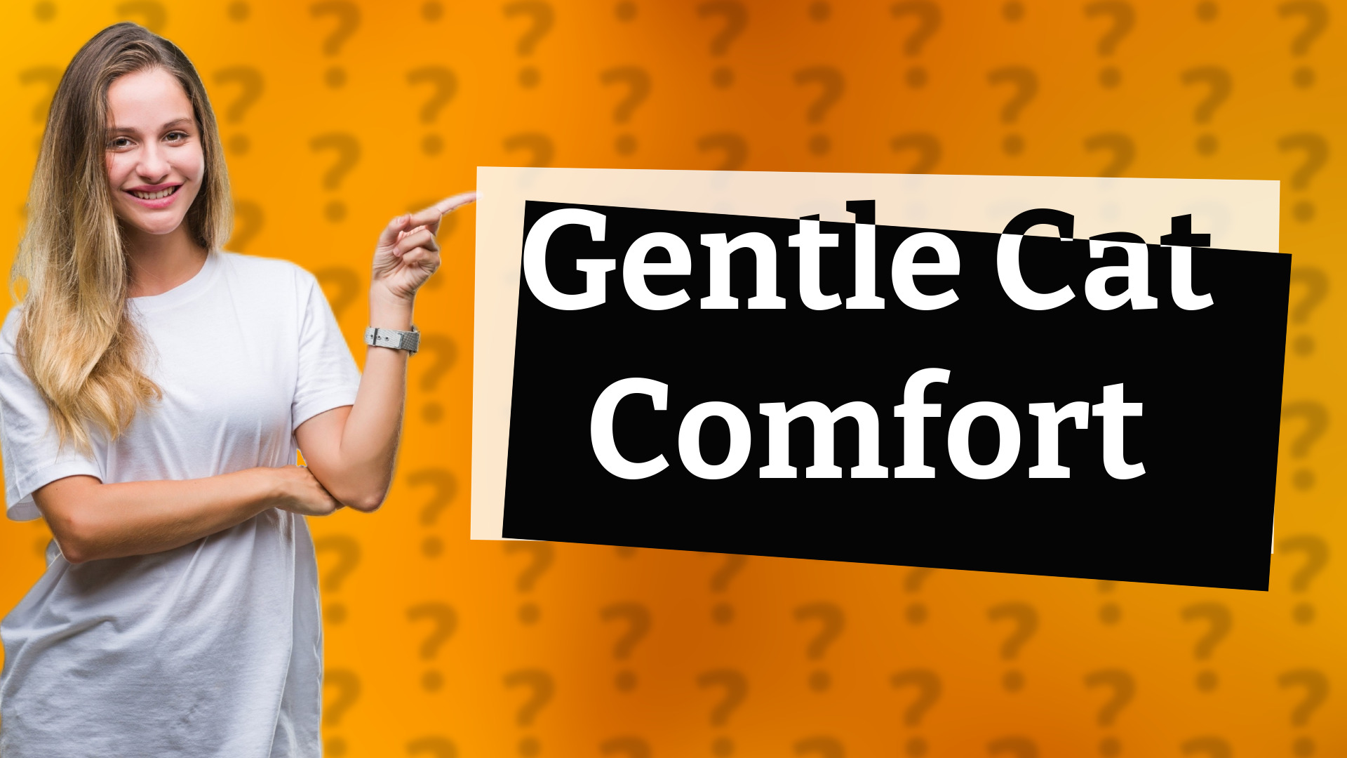Gentle Cat Comfort