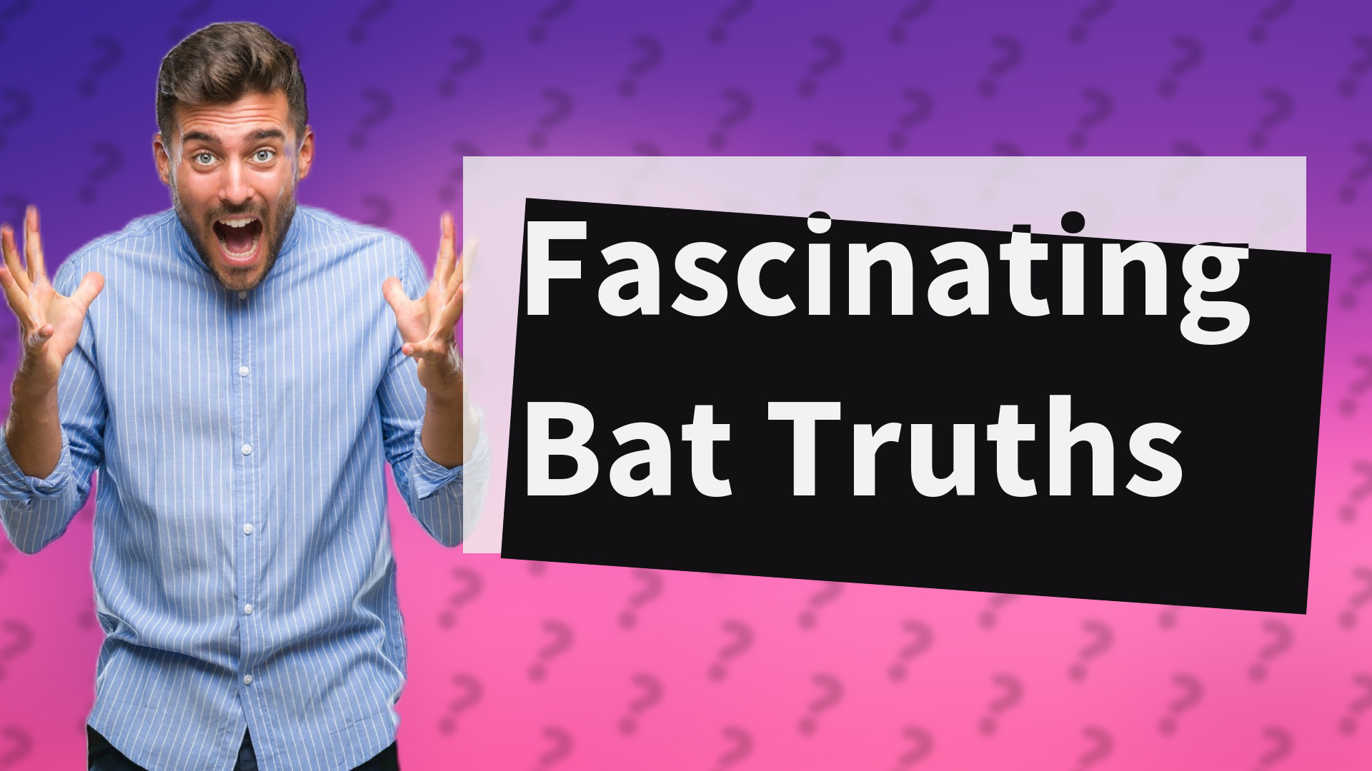 Fascinating Bat Truths