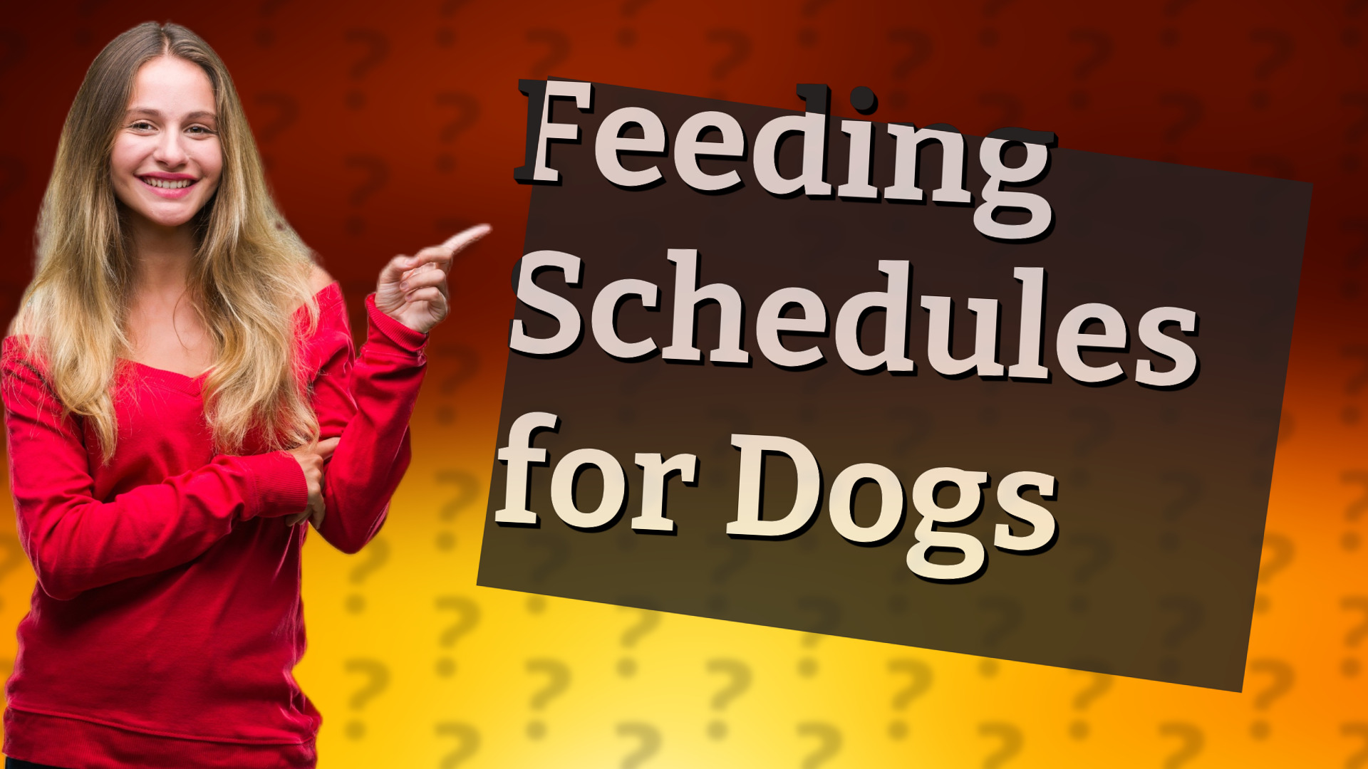 Feeding Schedules for Dogs