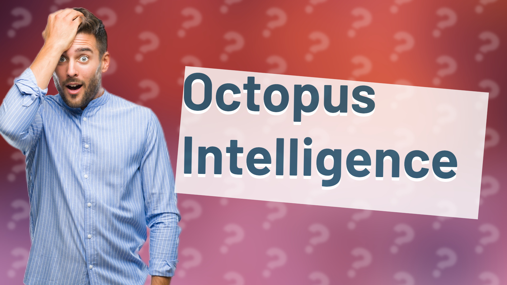 Octopus Intelligence