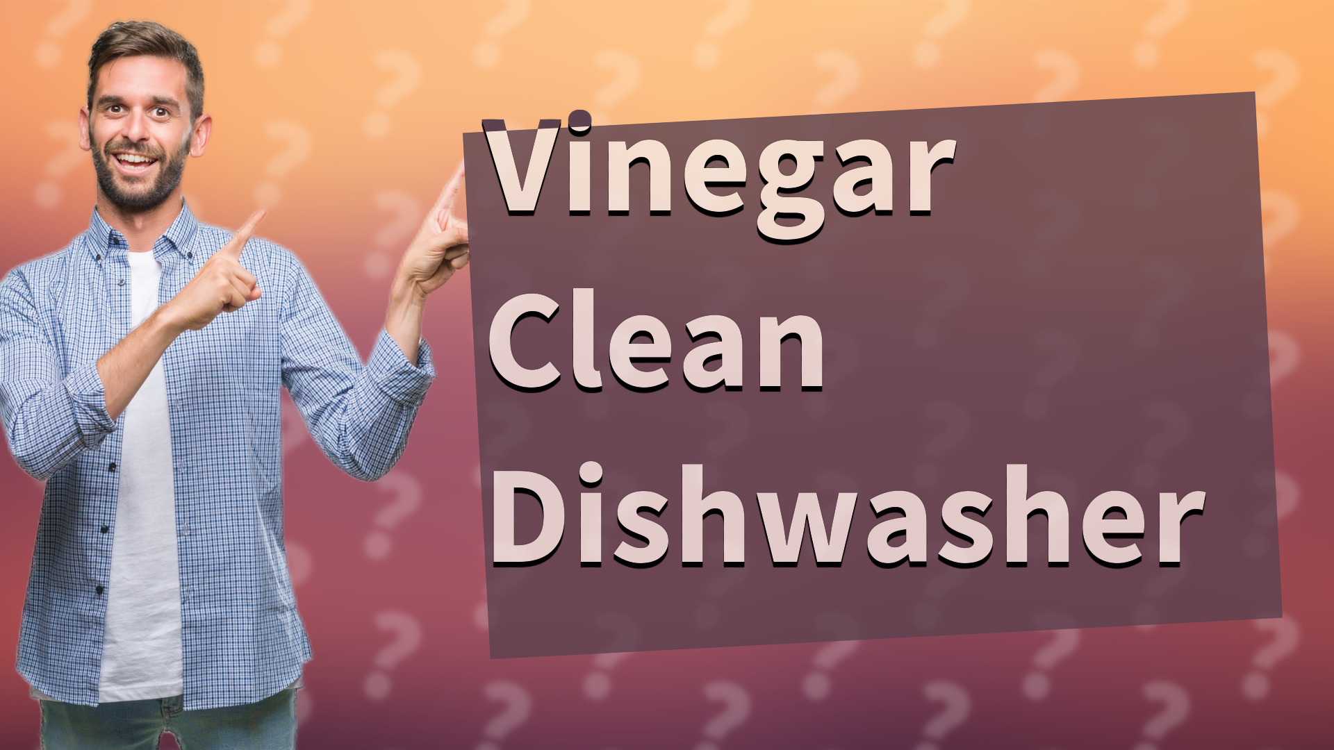 Vinegar Clean Dishwasher