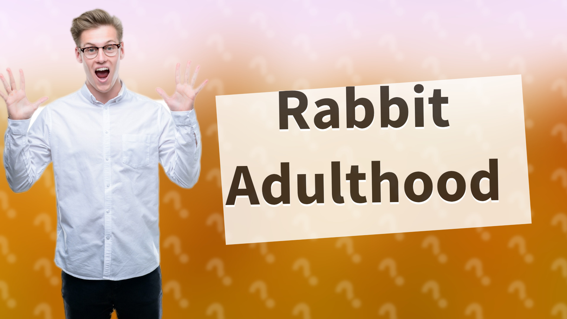 Rabbit Adulthood