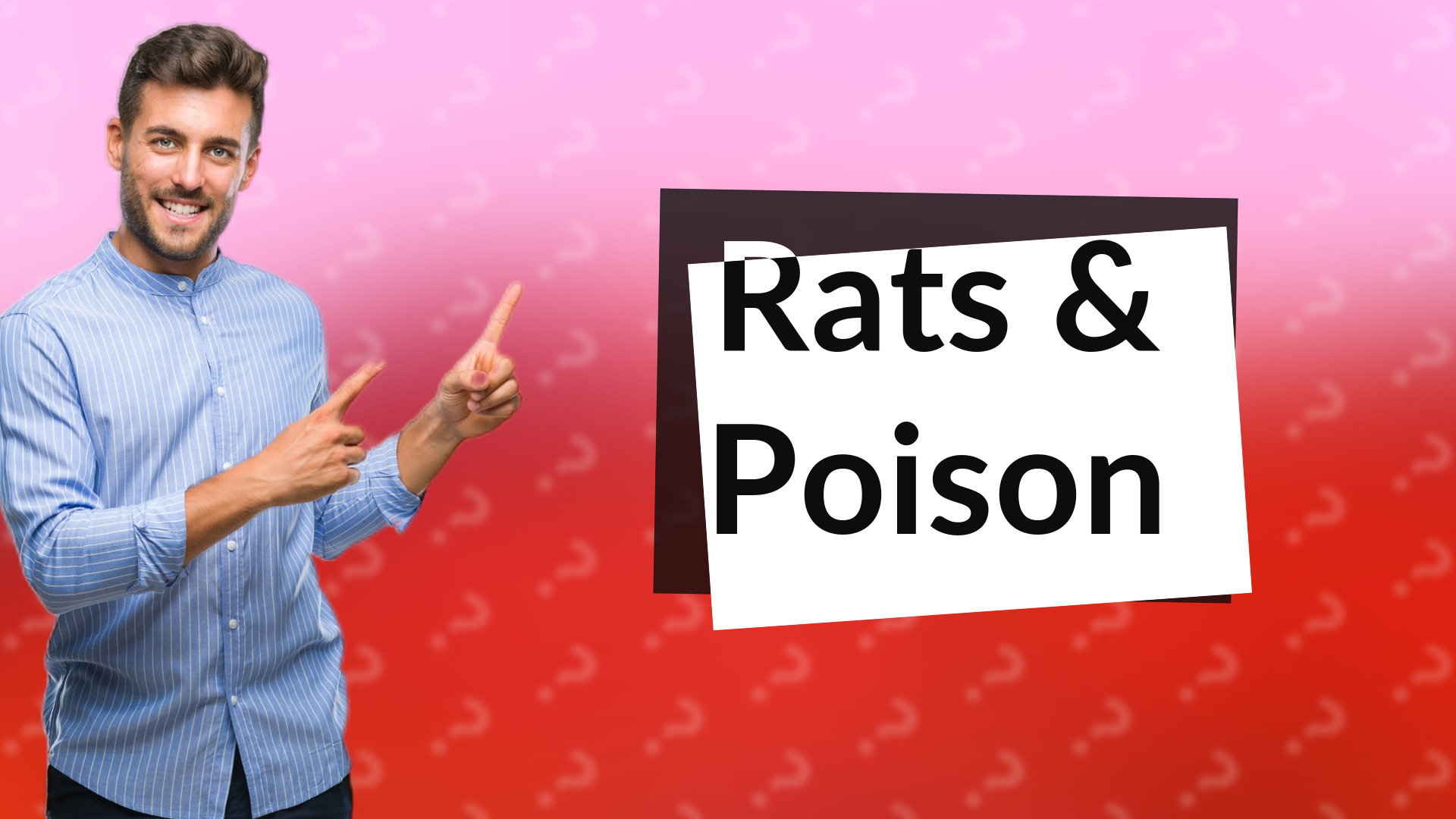 Rats & Poison