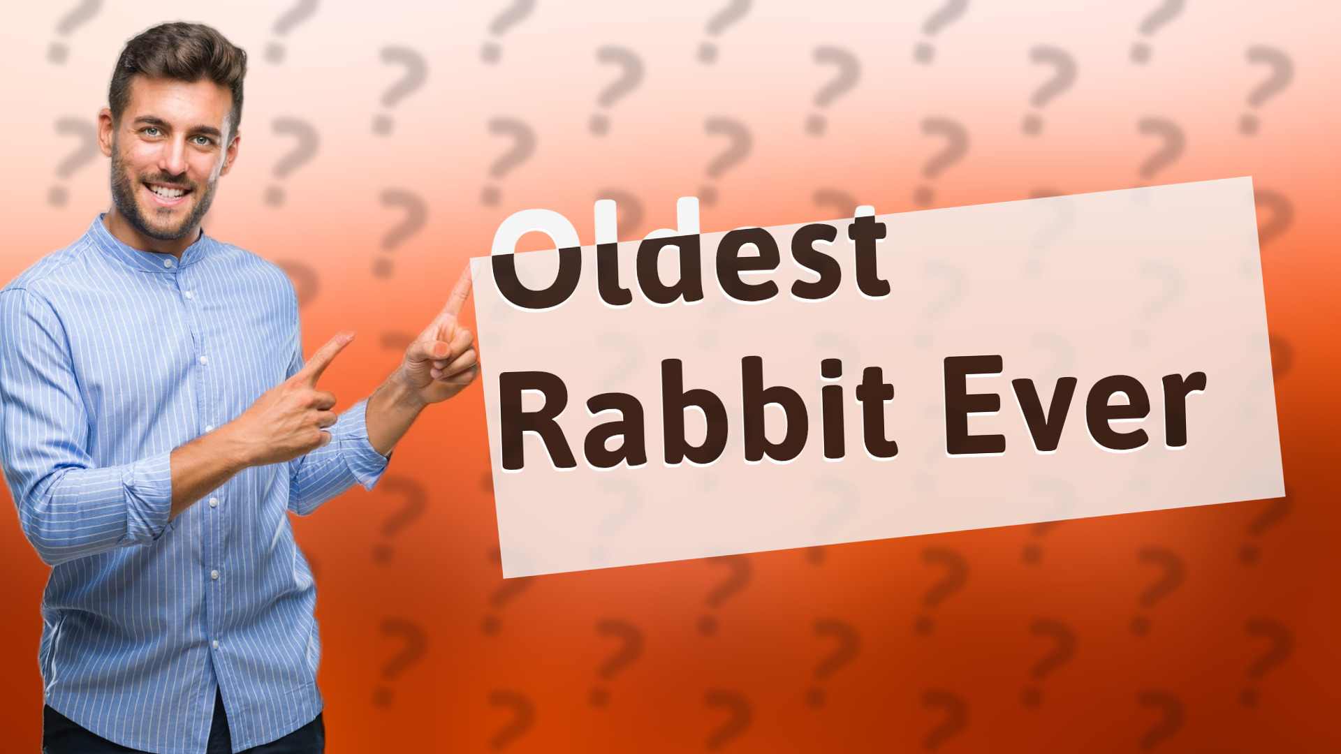 Oldest Rabbit Ever