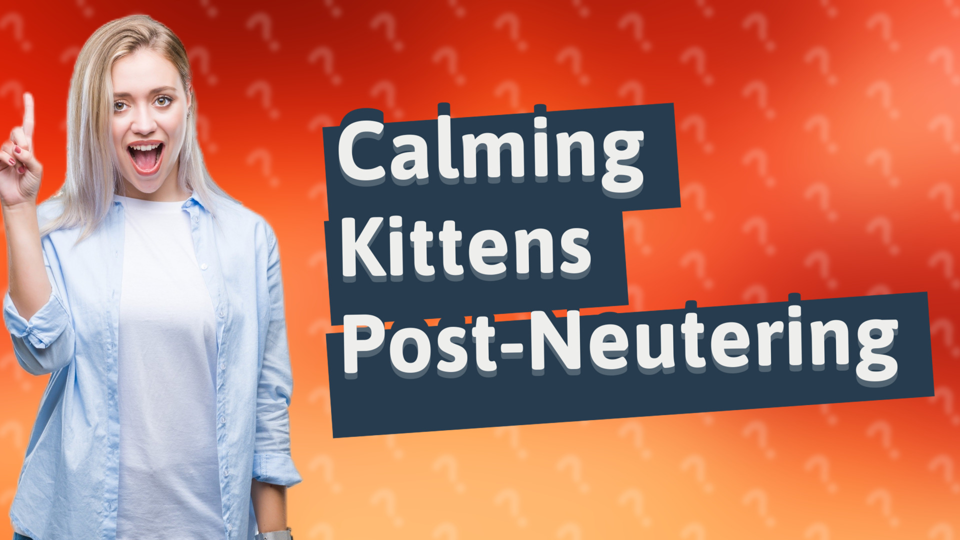 Calming Kittens Post-Neutering