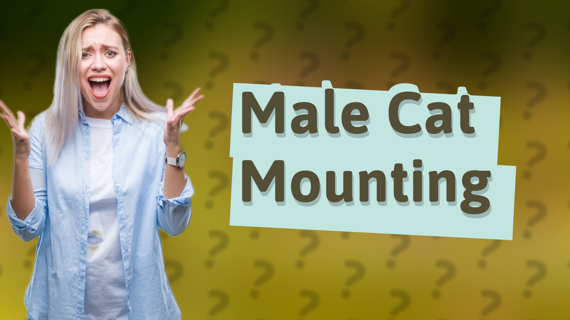 Male Cat Mounting