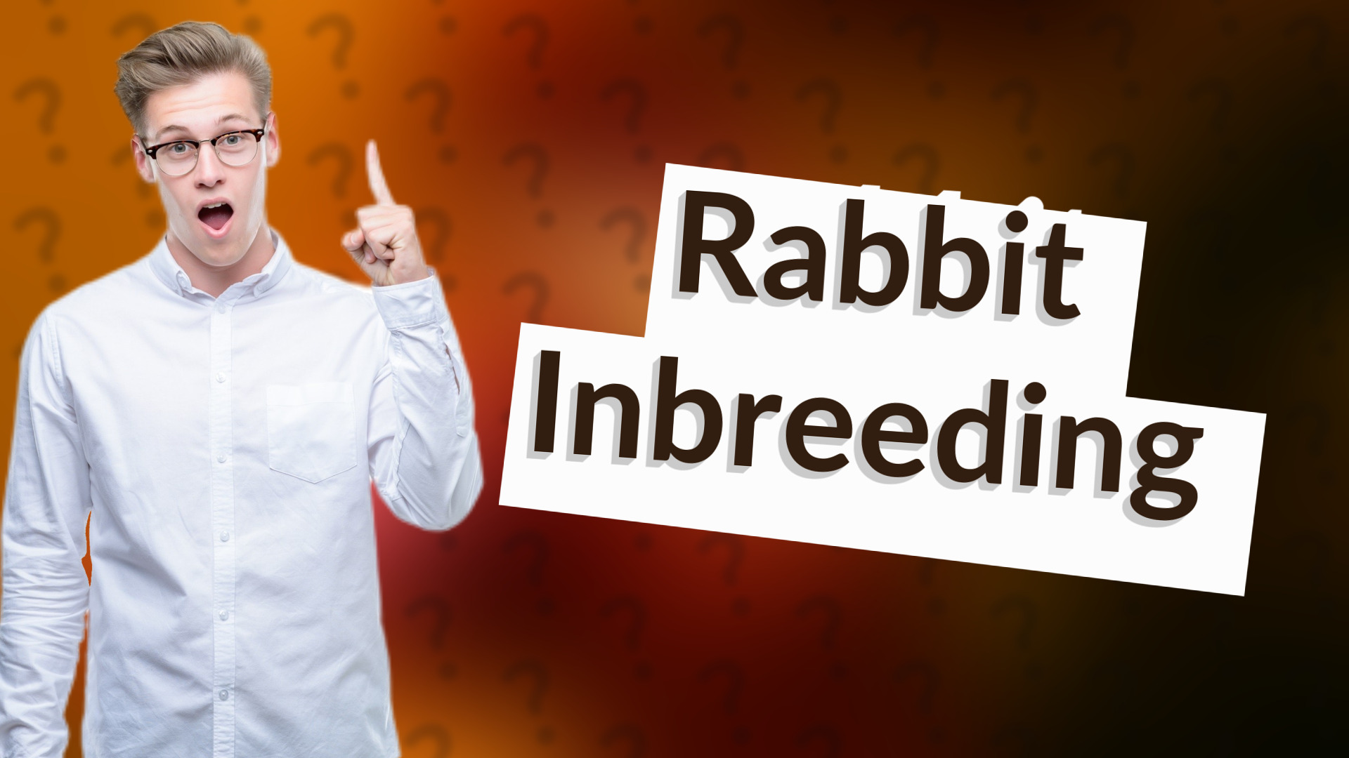 Rabbit Inbreeding