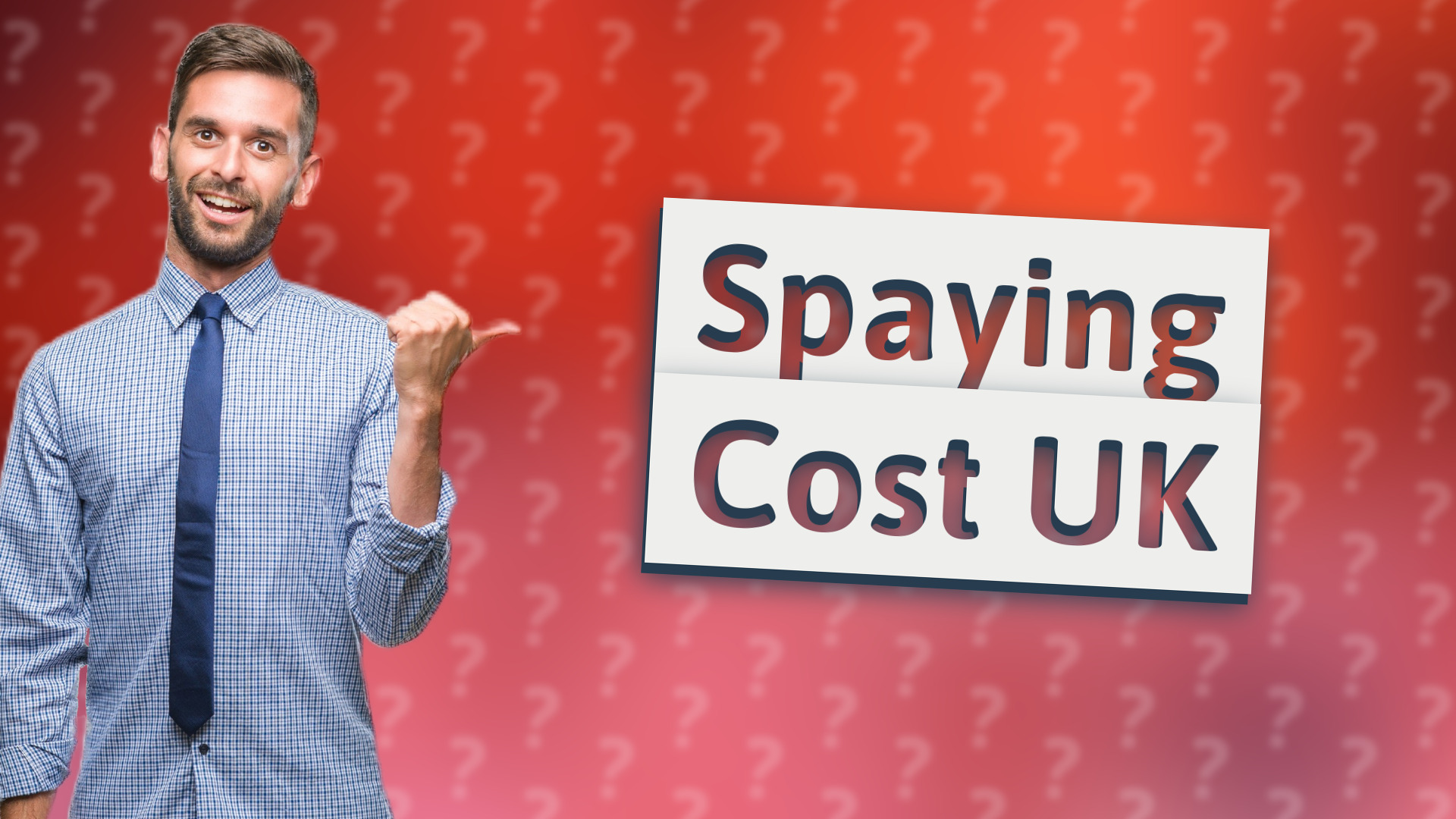 Spaying Cost UK