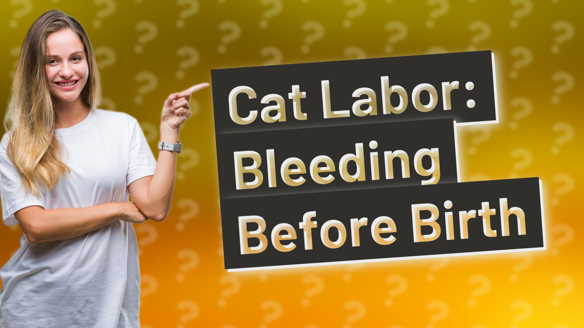 Cat Labor: Bleeding Before Birth