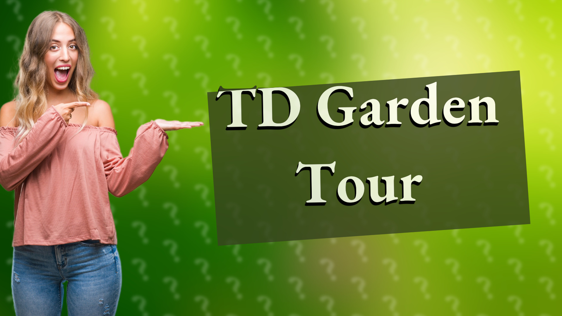 TD Garden Tour