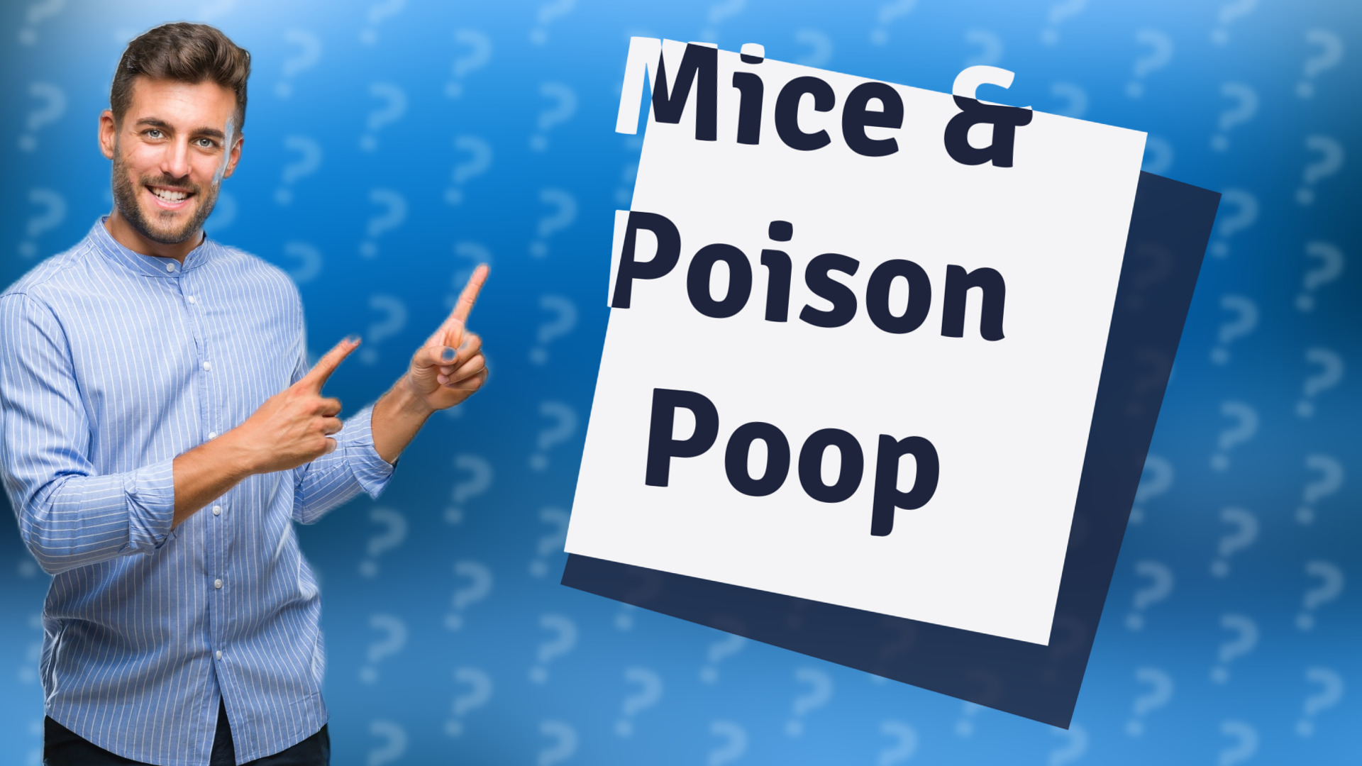 Mice & Poison Poop