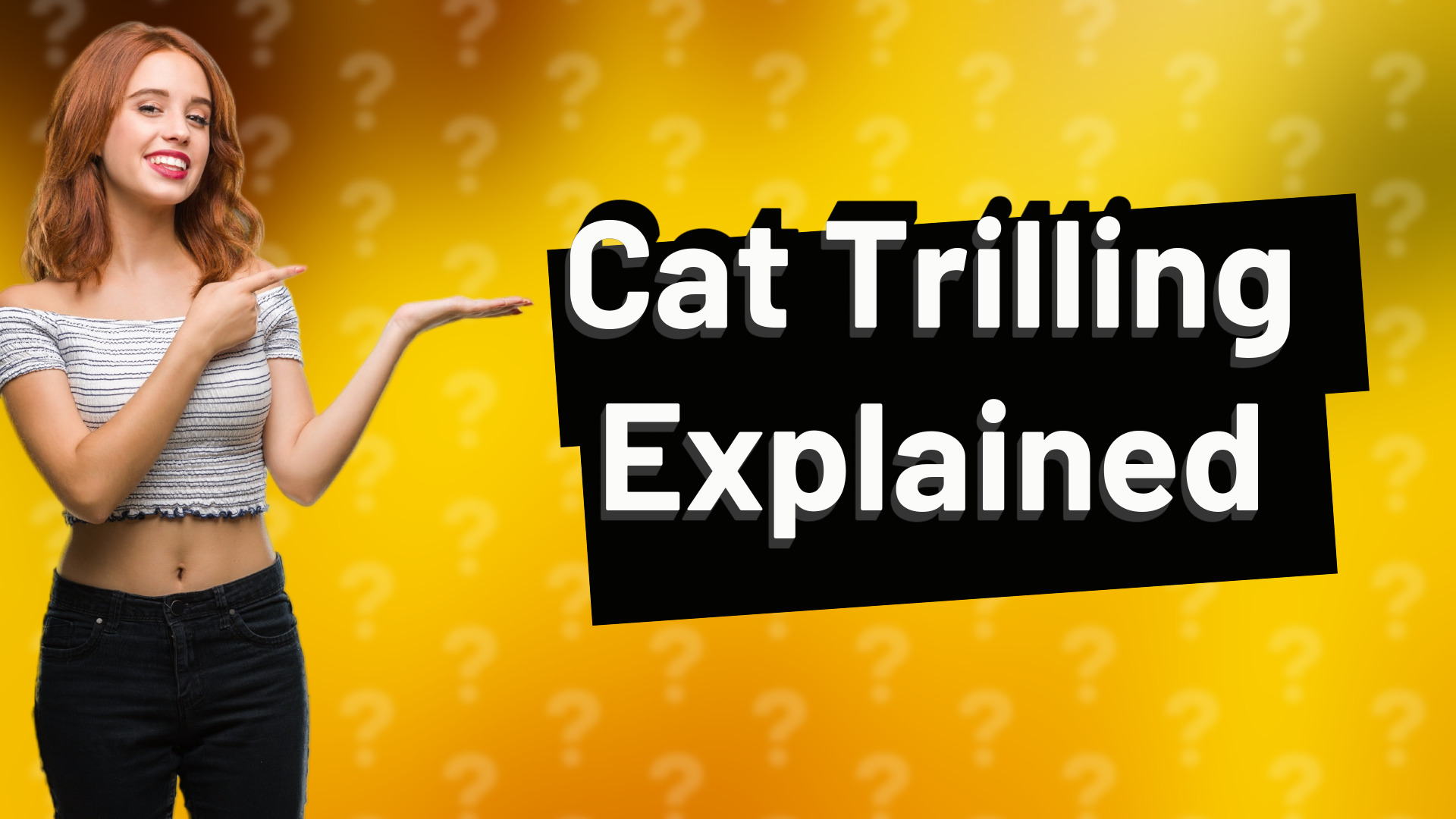 Cat Trilling Explained