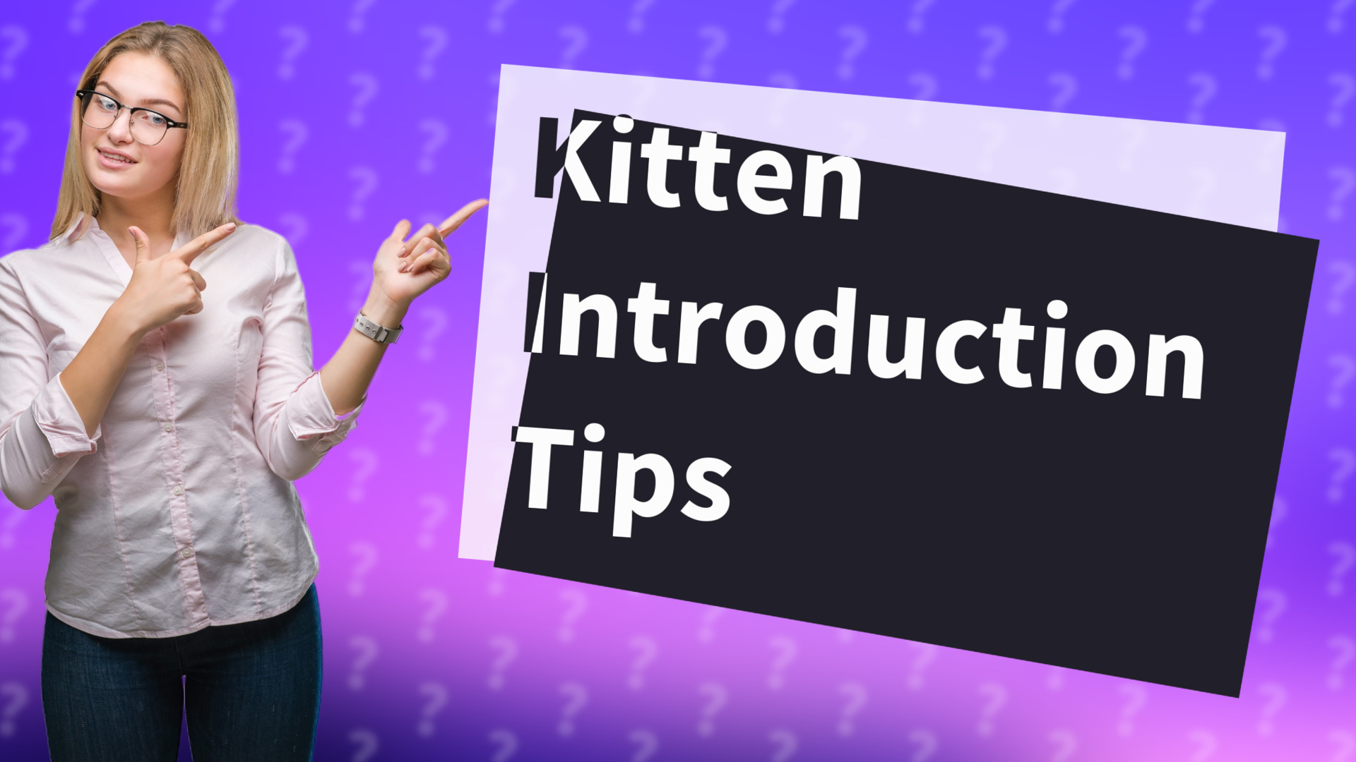 Kitten Introduction Tips