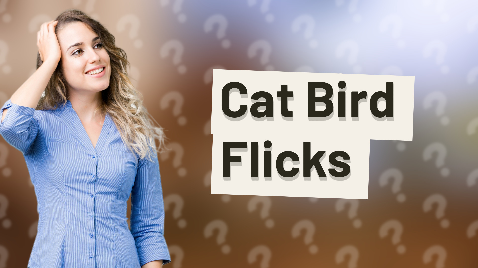 Cat Bird Flicks