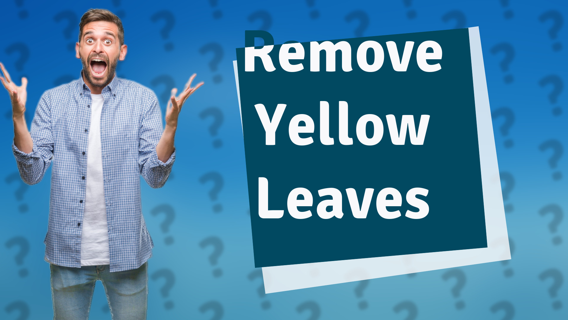 Remove Yellow Leaves