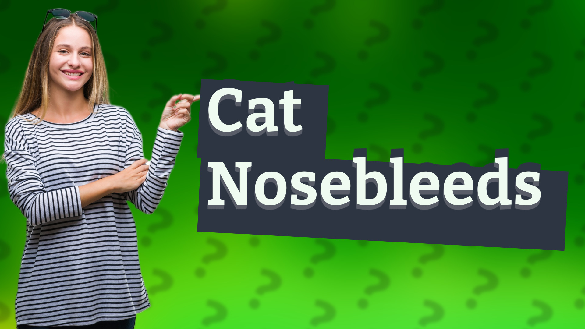 Cat Nosebleeds