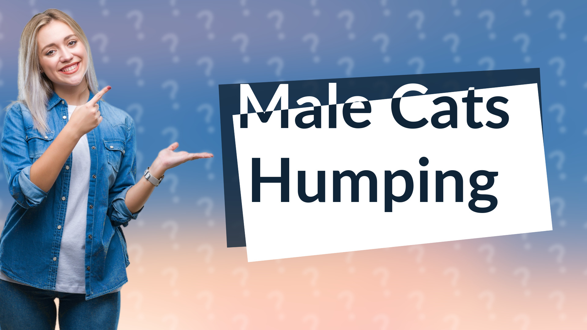 Male Cats Humping
