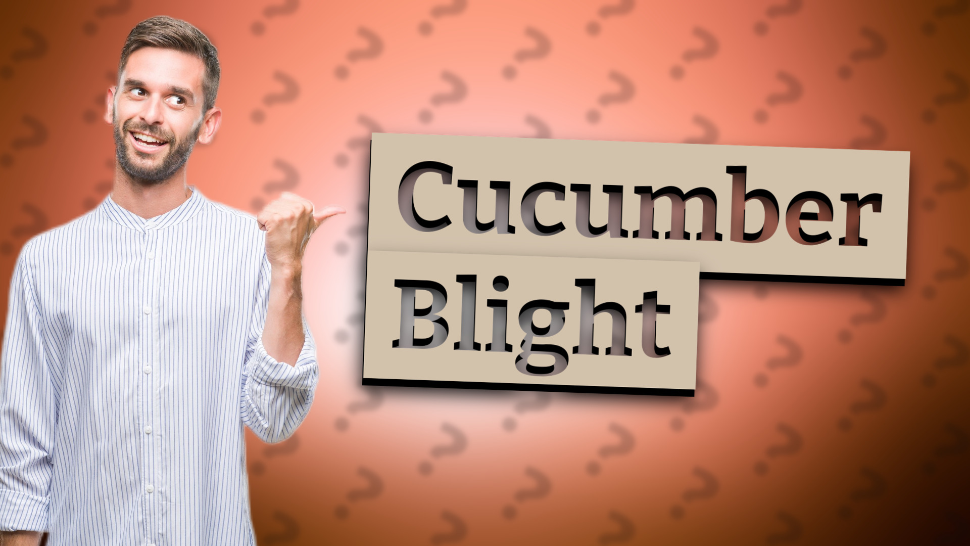 Cucumber Blight