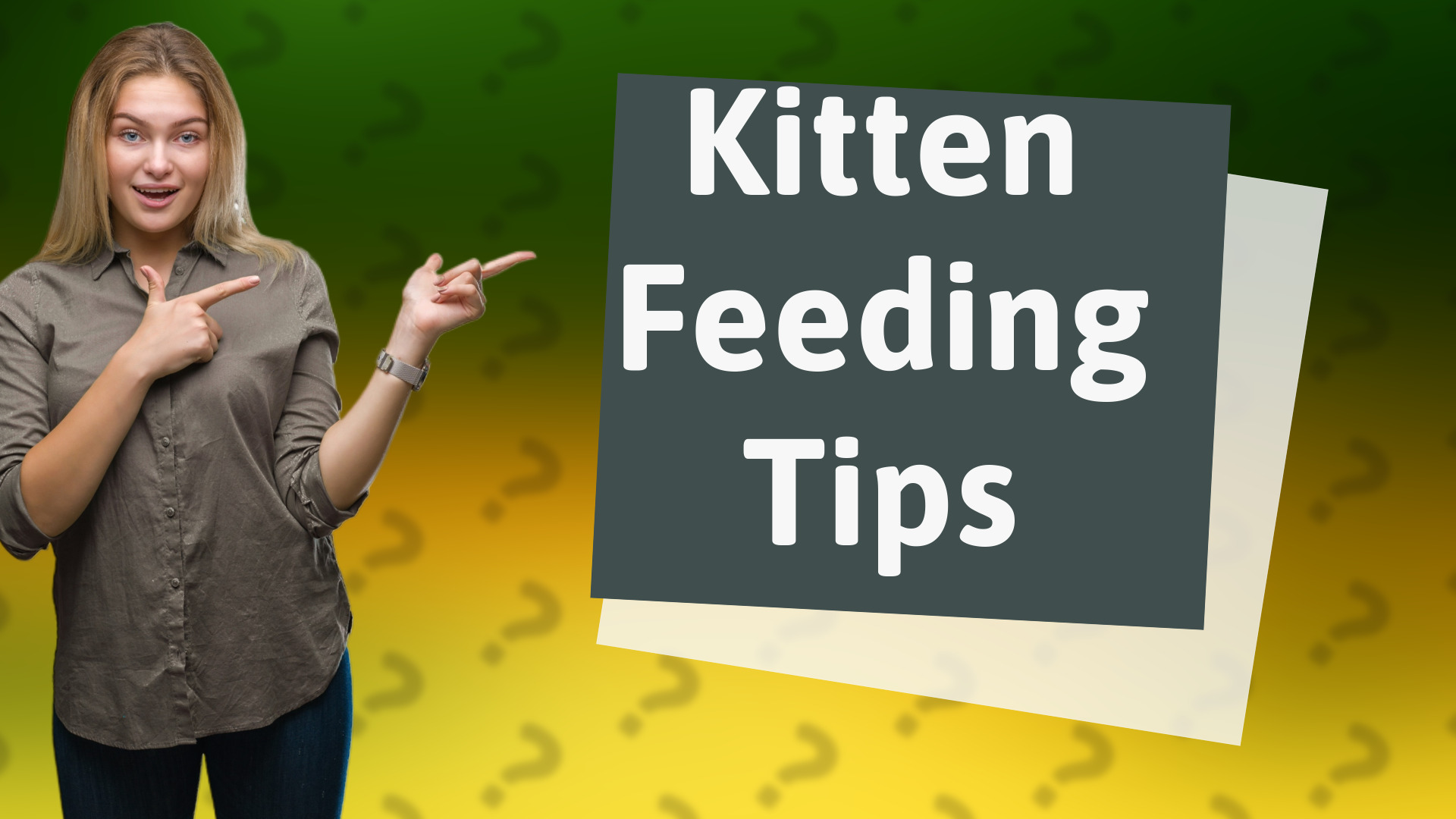 Kitten Feeding Tips