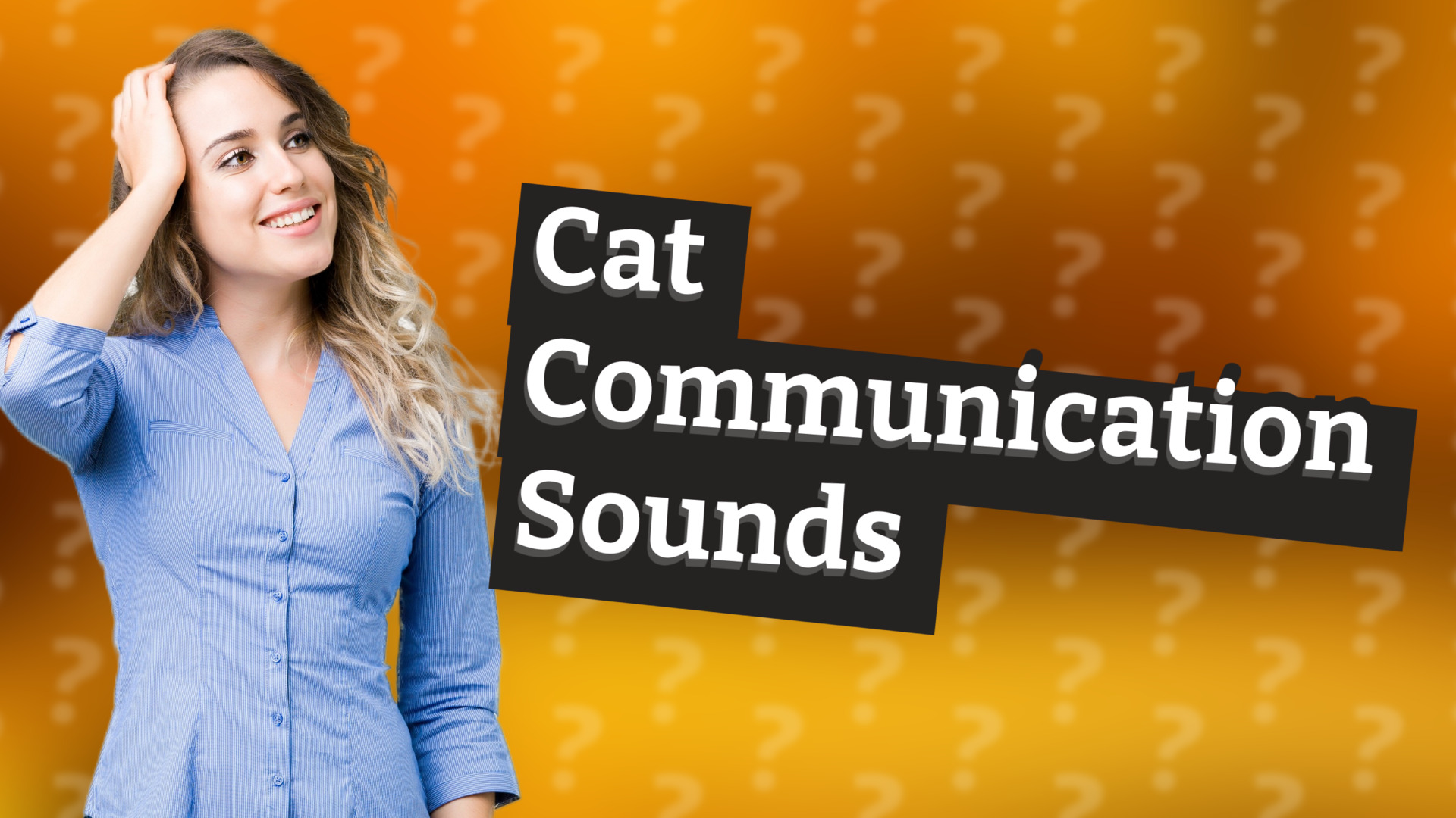 Cat Communication Sounds