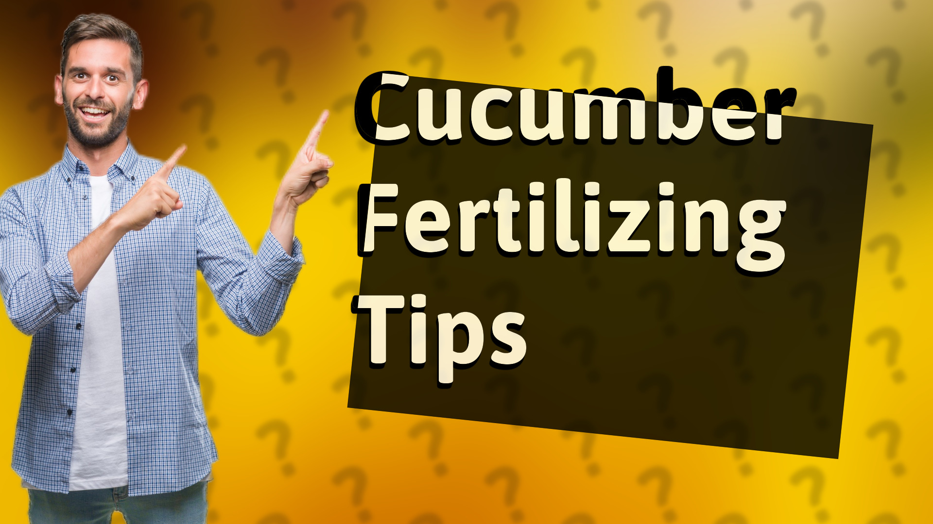 Cucumber Fertilizing Tips