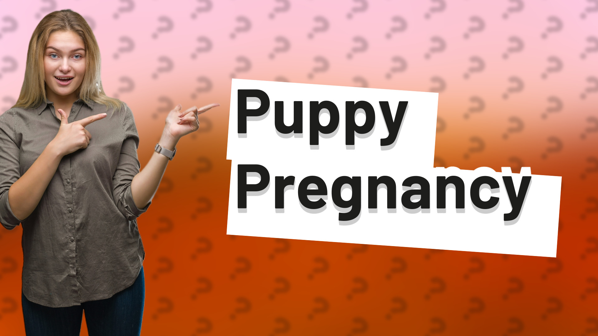 Puppy Pregnancy