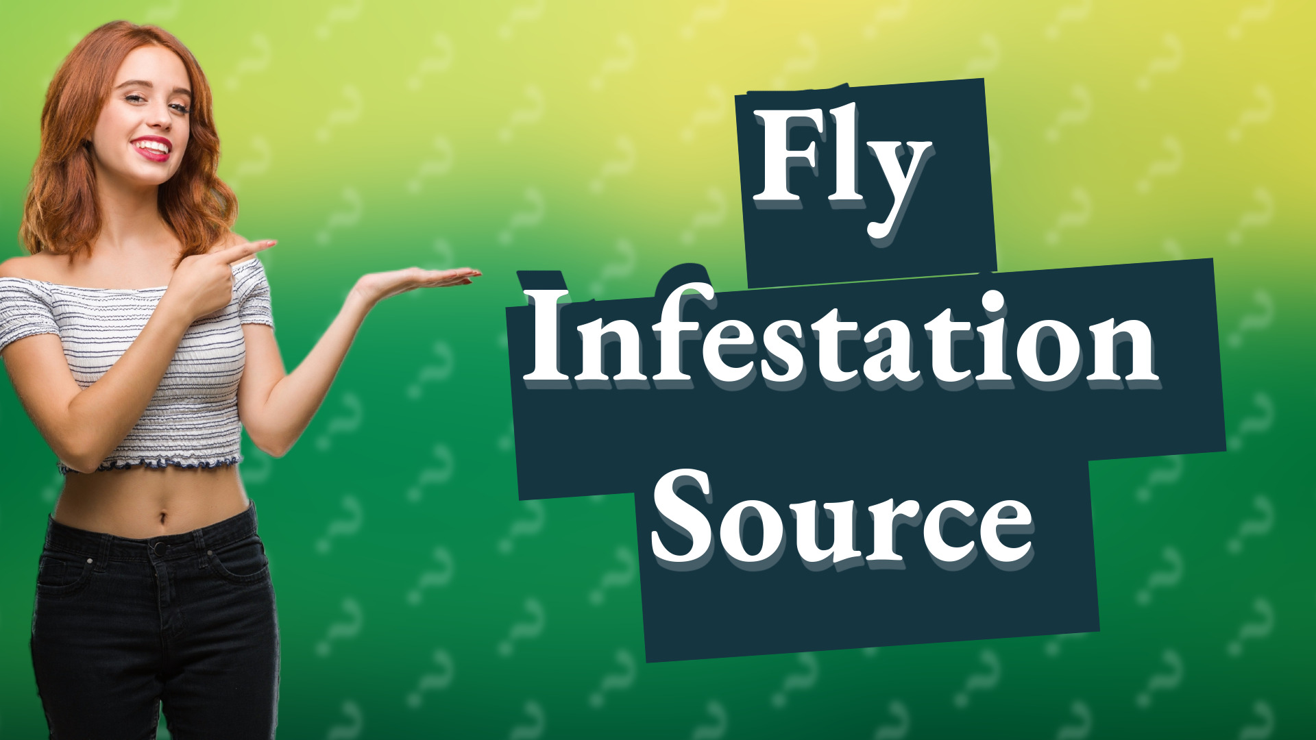 Fly Infestation Source