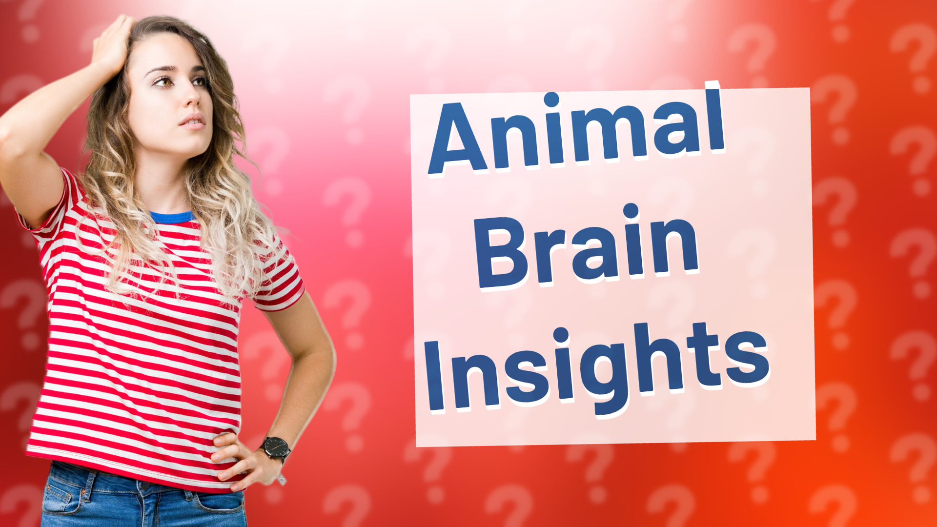 Animal Brain Insights