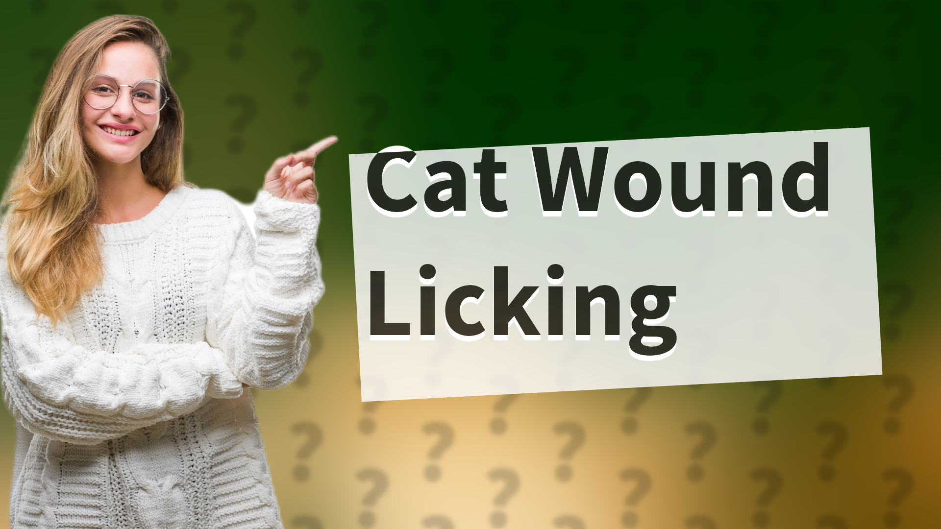 Cat Wound Licking