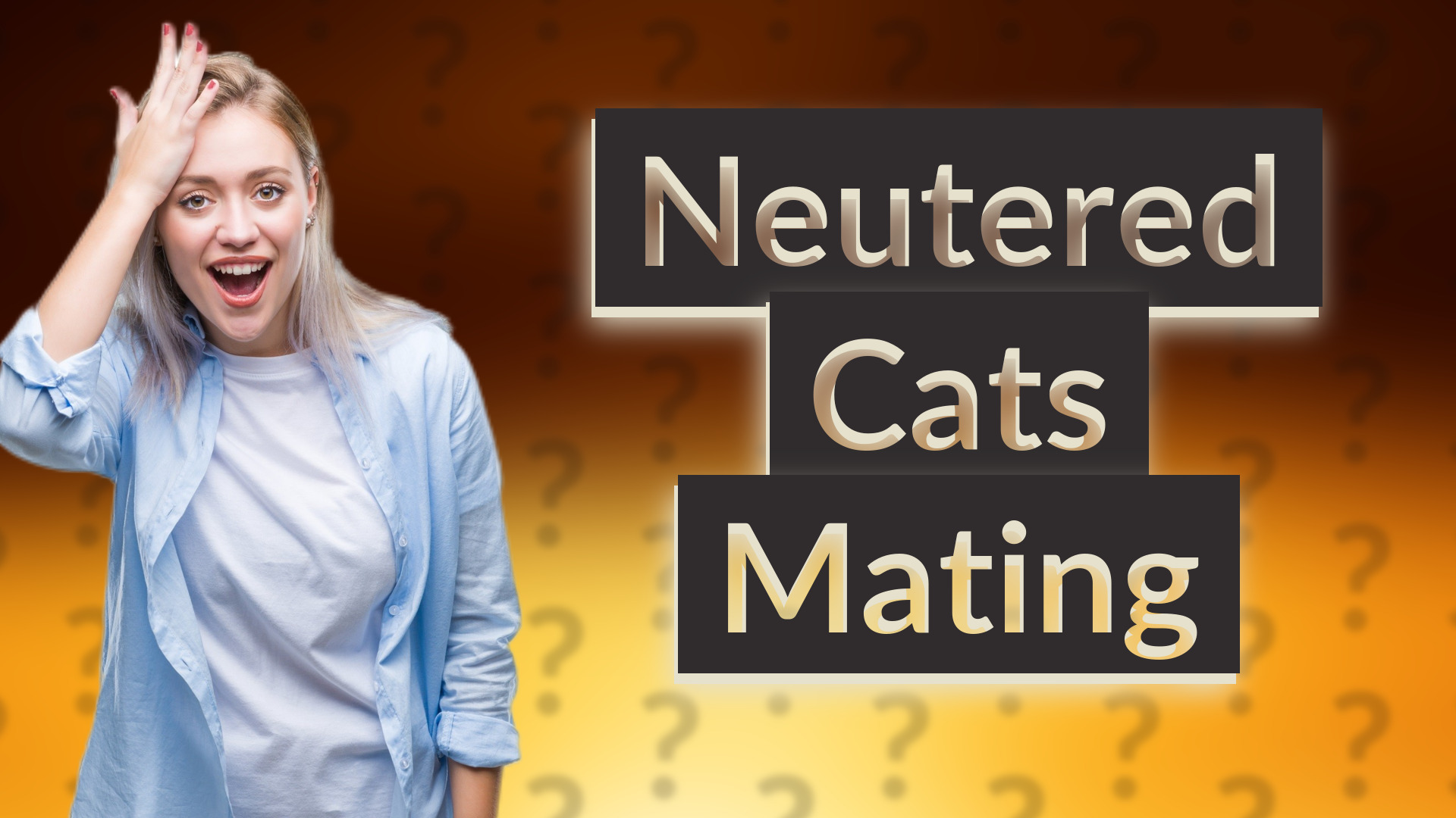 Neutered Cats Mating