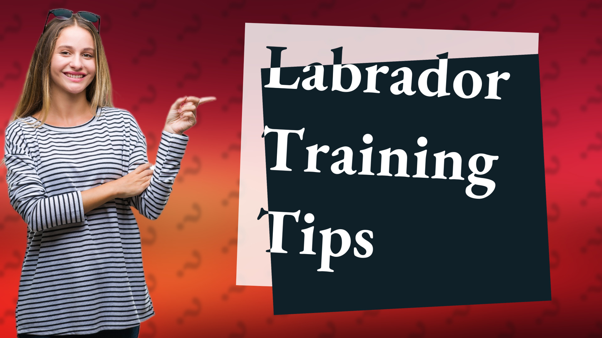 Labrador Training Tips