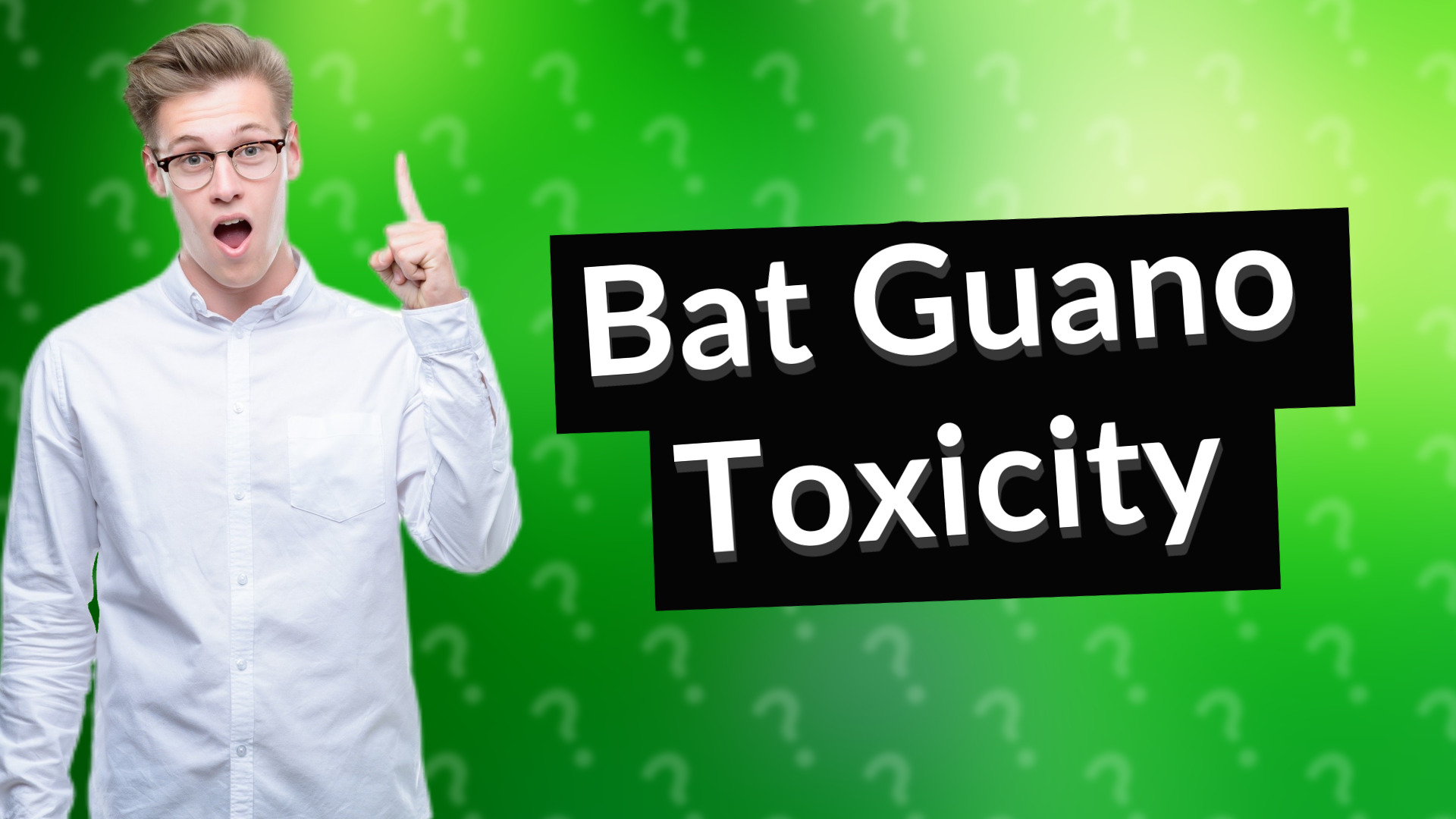 Bat Guano Toxicity