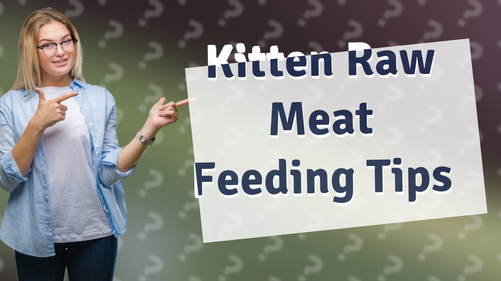 Kitten Raw Meat Feeding Tips