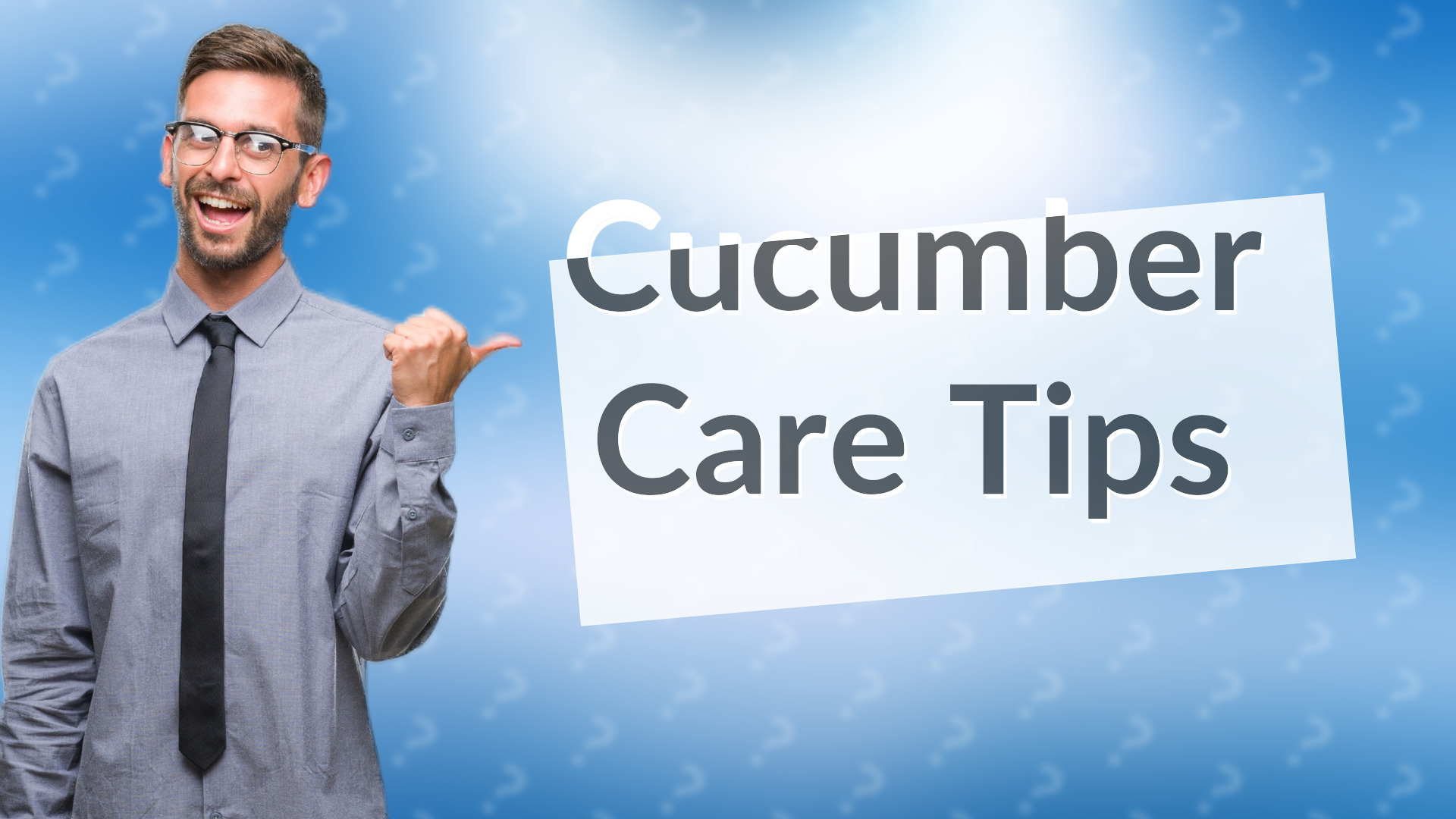 Cucumber Care Tips