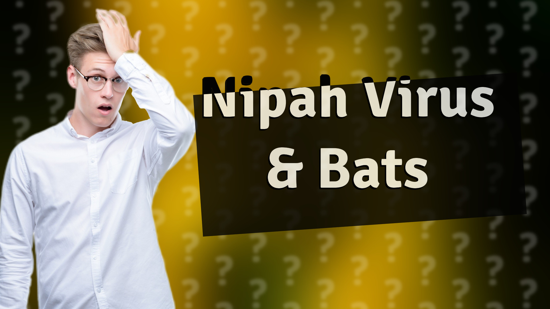 Nipah Virus & Bats