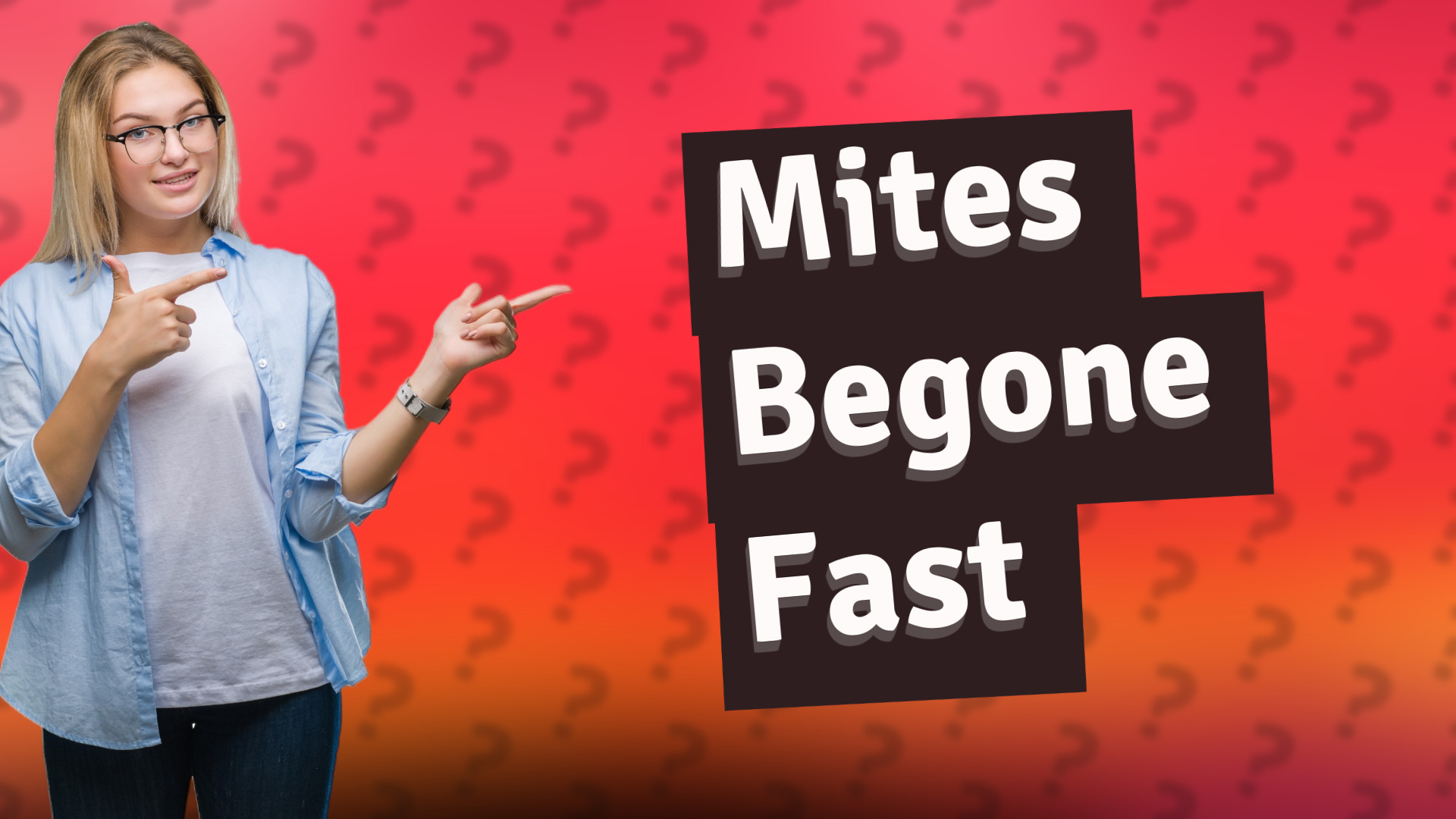 Mites Begone Fast