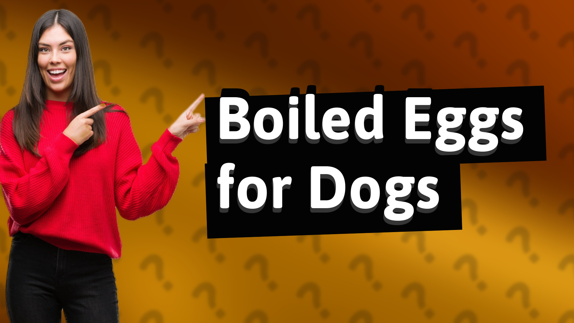 Boiled Eggs for Dogs