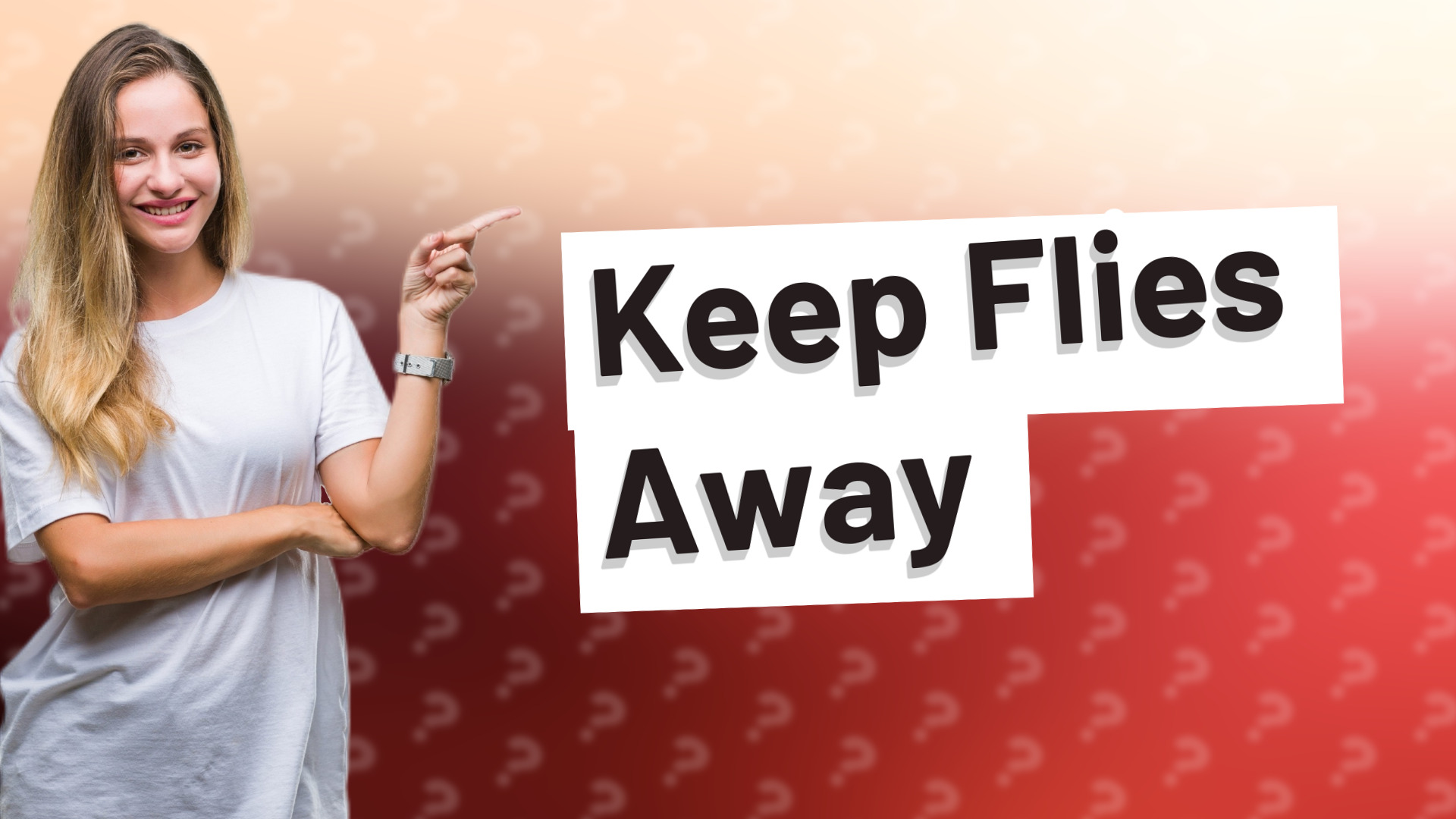 Keep Flies Away