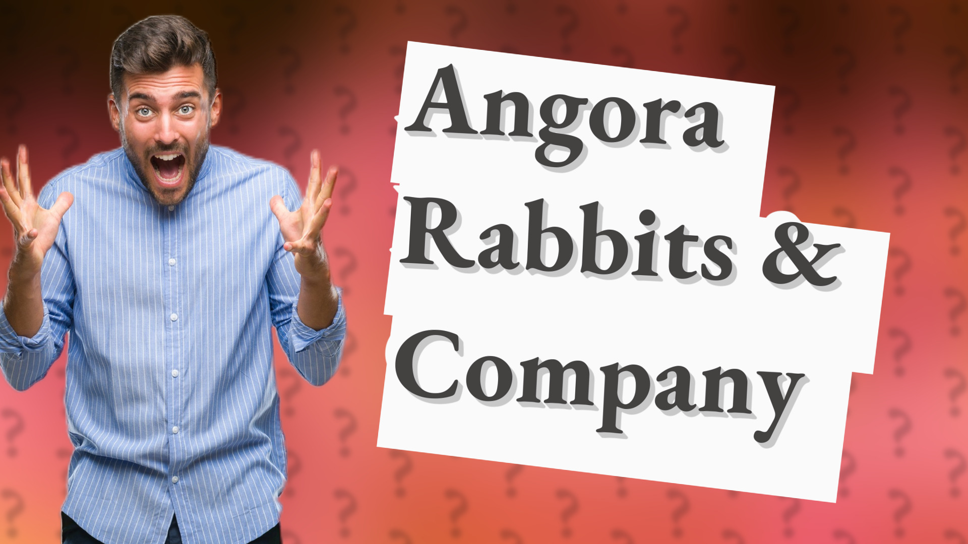Angora Rabbits & Company