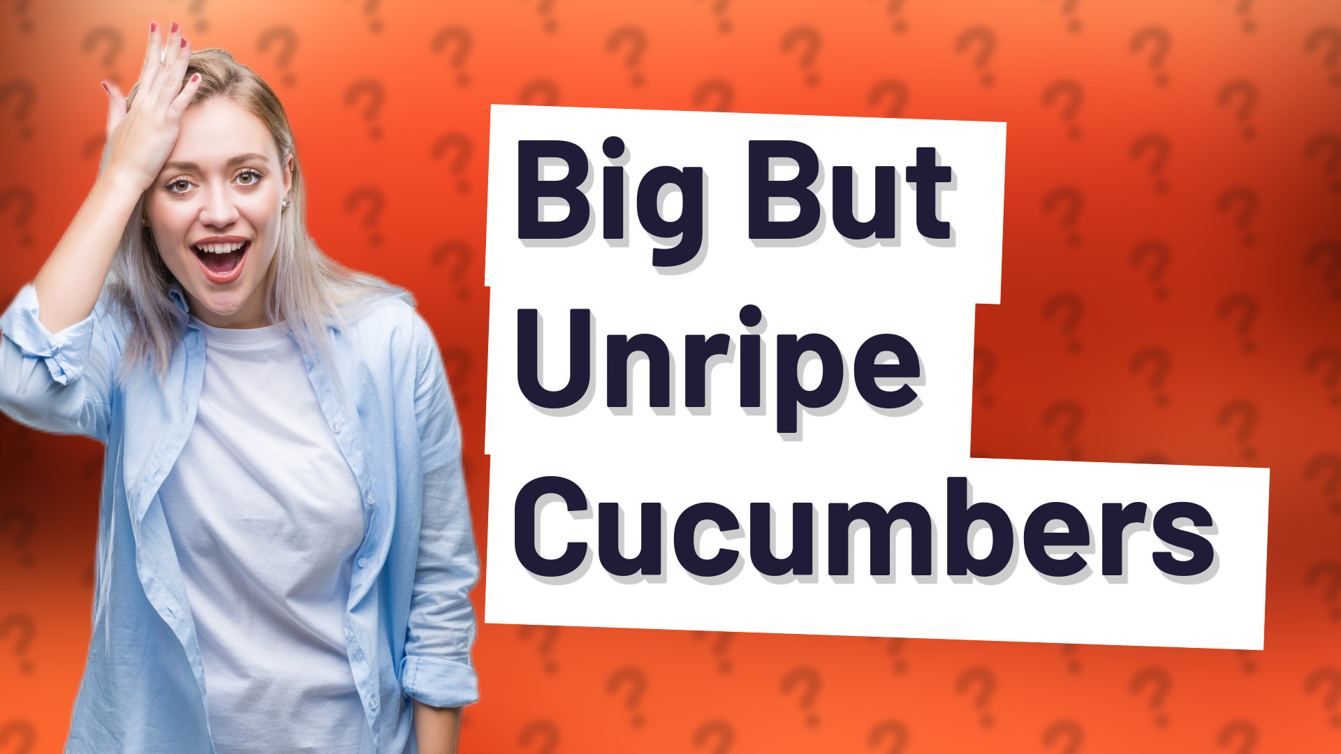 Big But Unripe Cucumbers