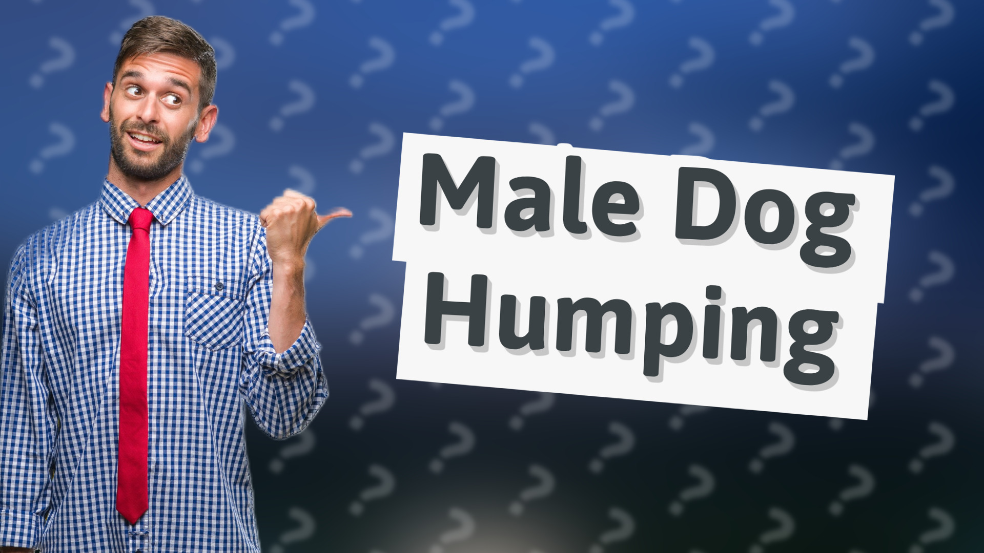Male Dog Humping