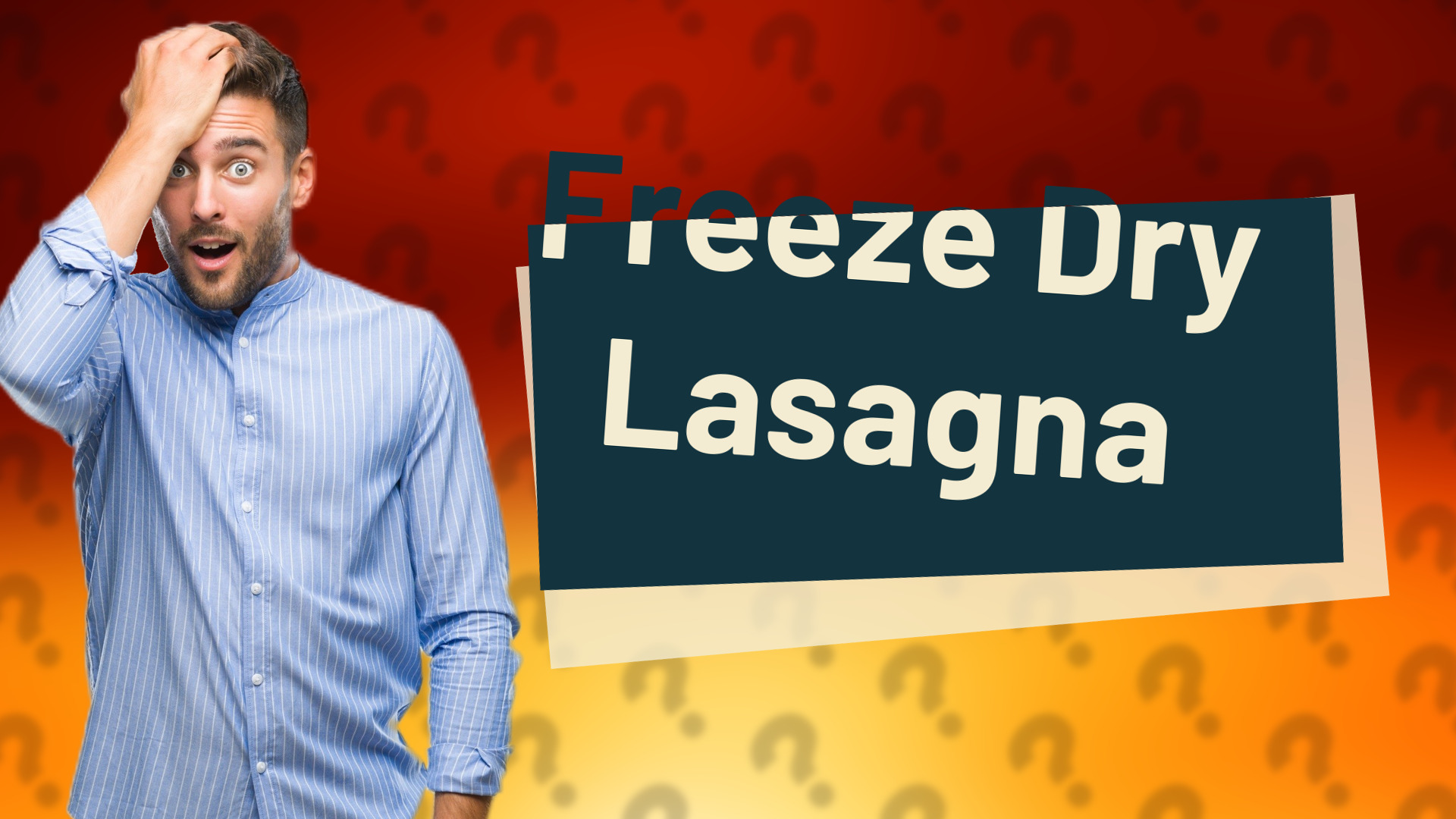 Freeze Dry Lasagna