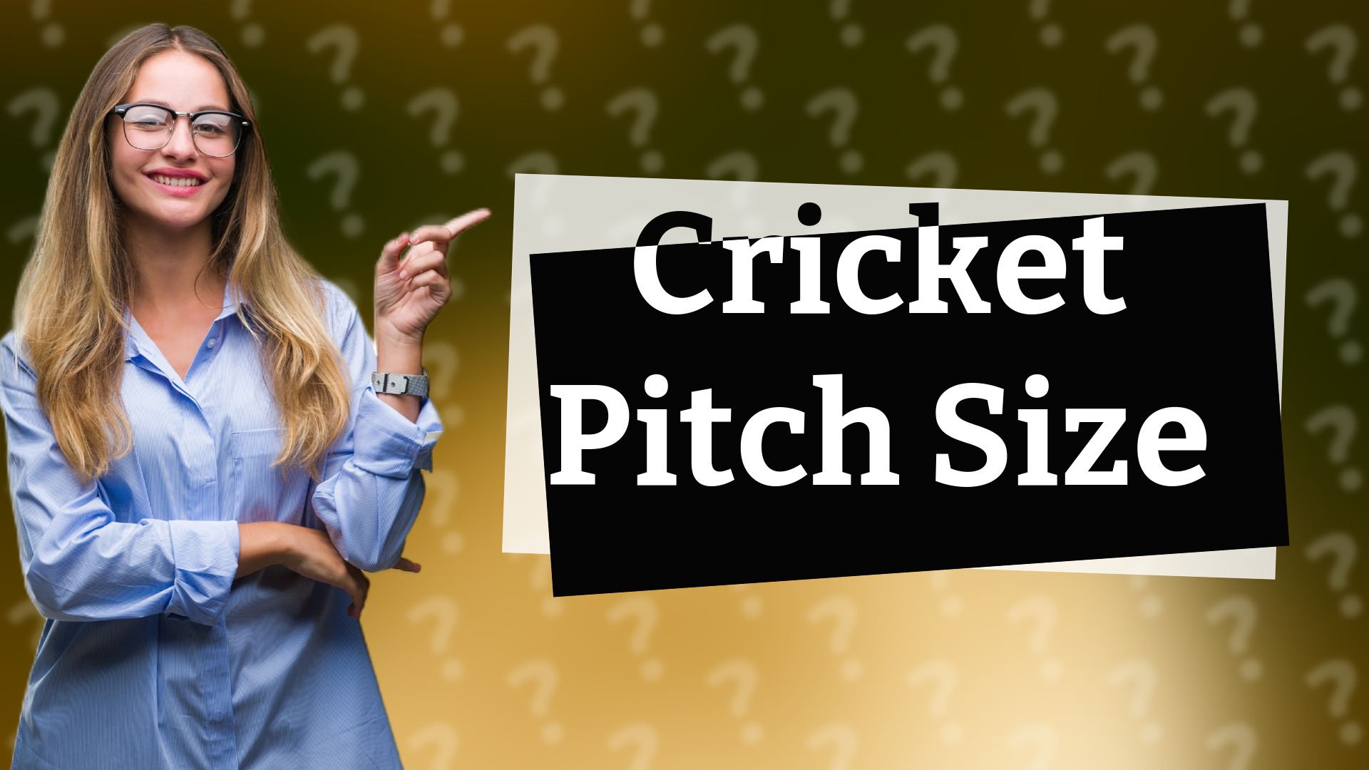 Cricket Pitch Size