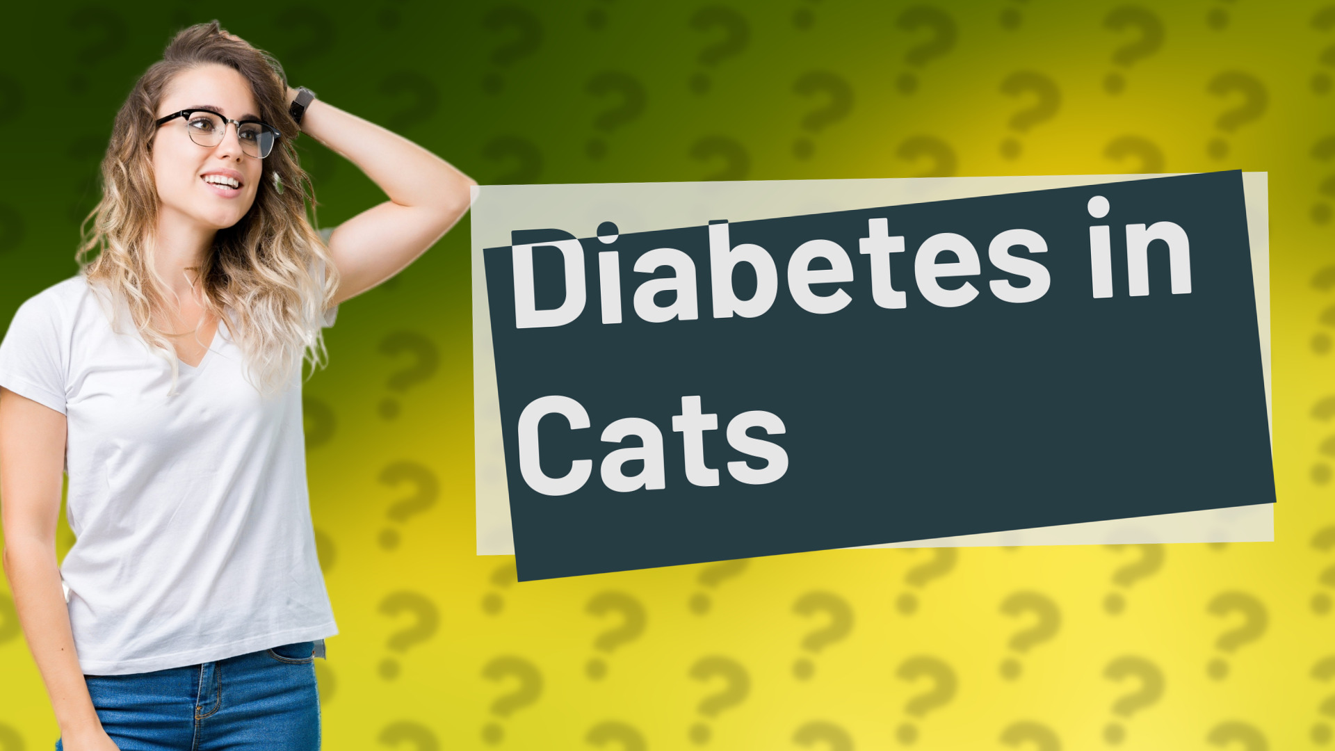 Diabetes in Cats