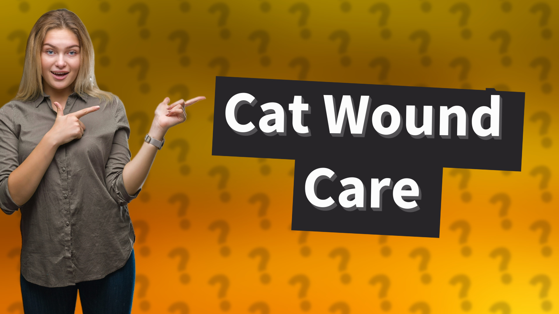 Cat Wound Care