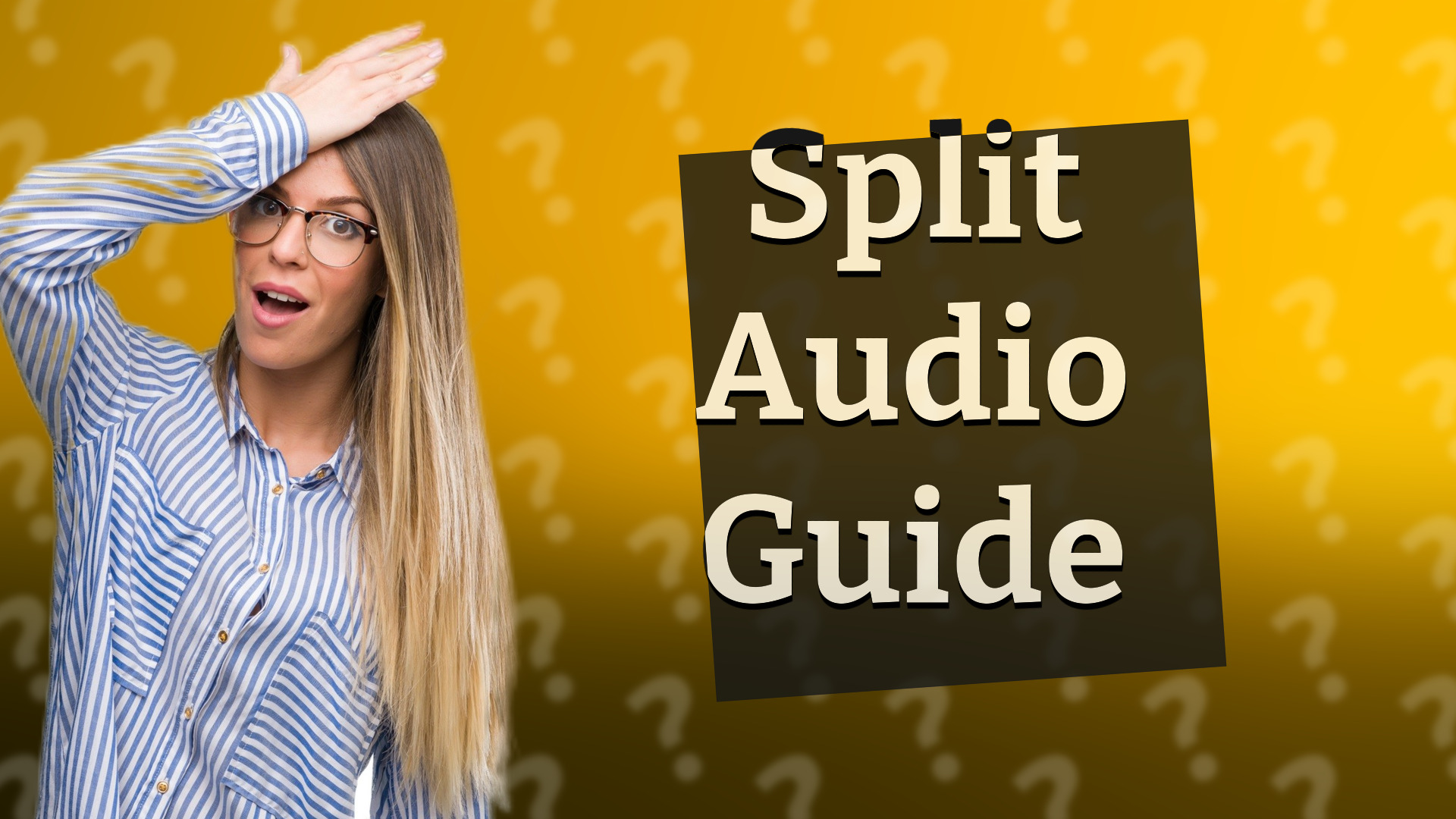 Split Audio Guide