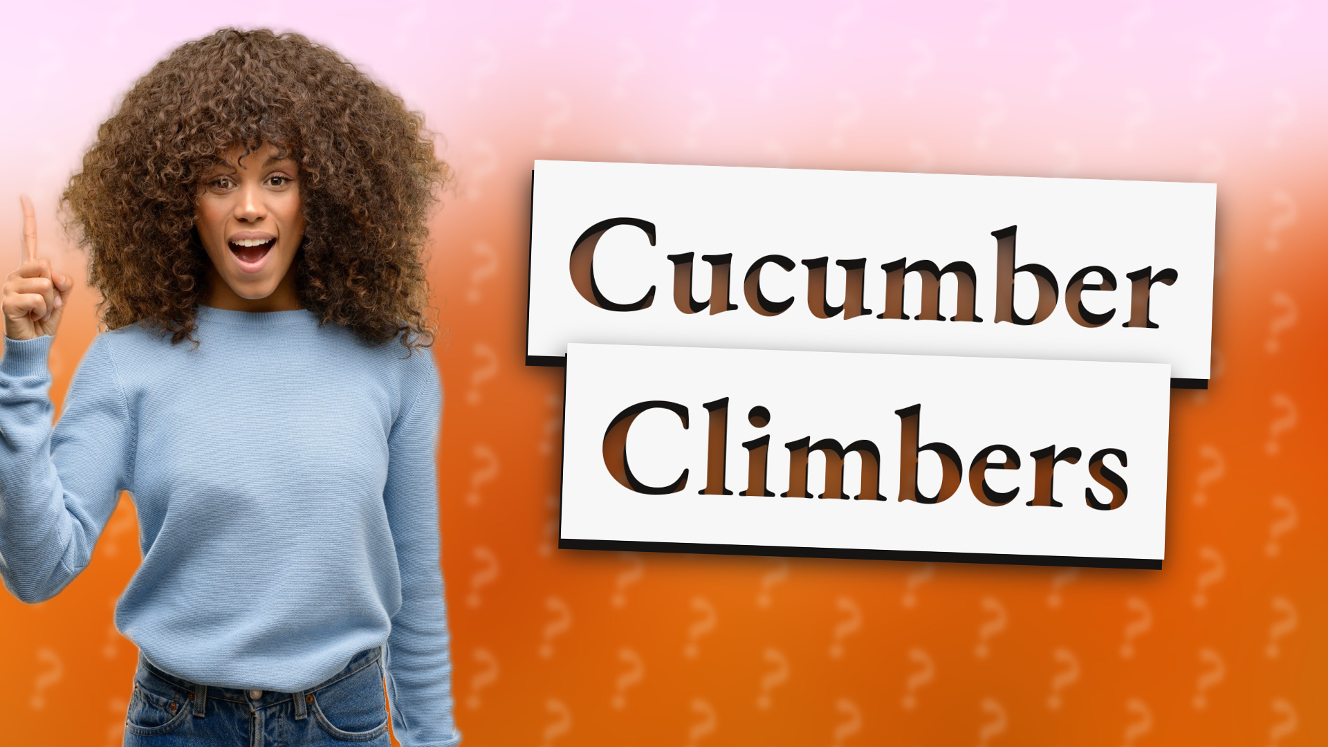 Cucumber Climbers