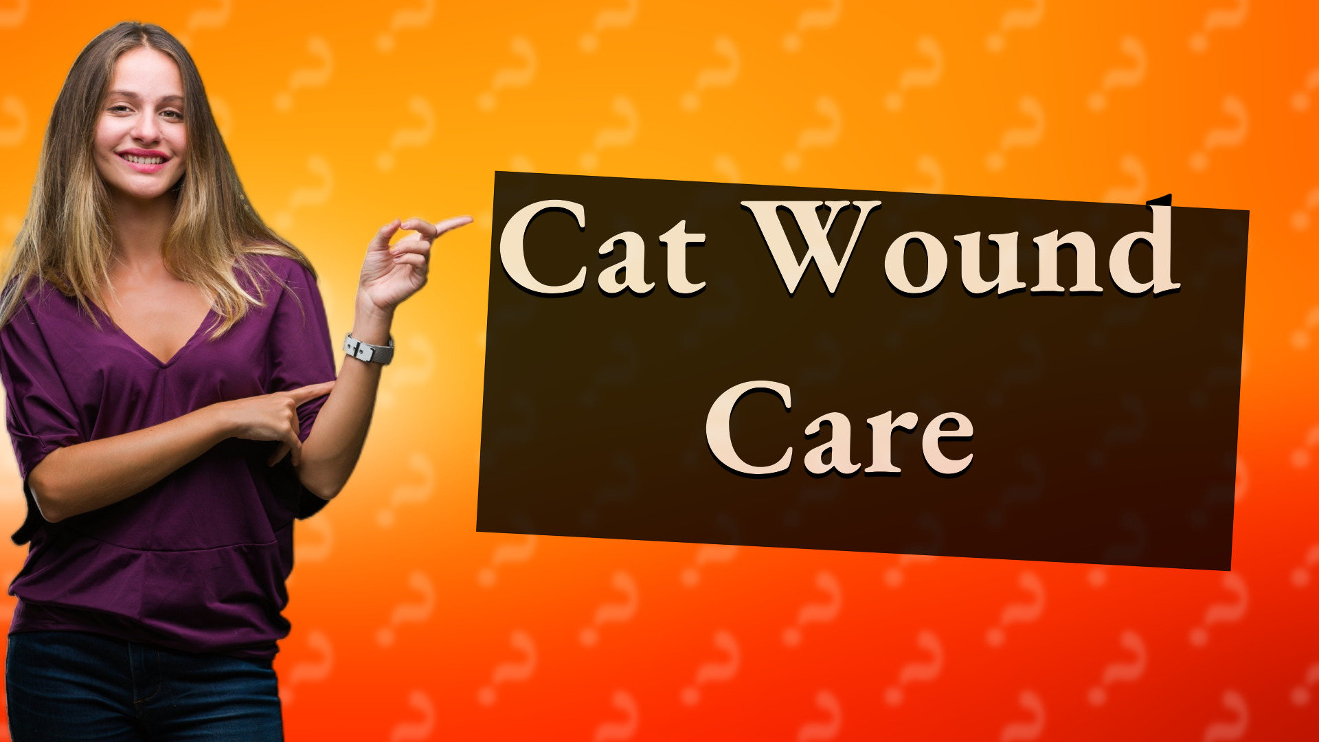 Cat Wound Care
