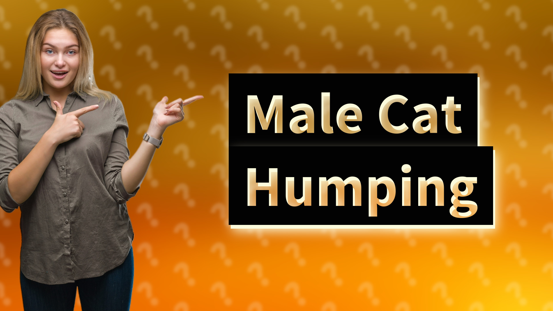 Male Cat Humping