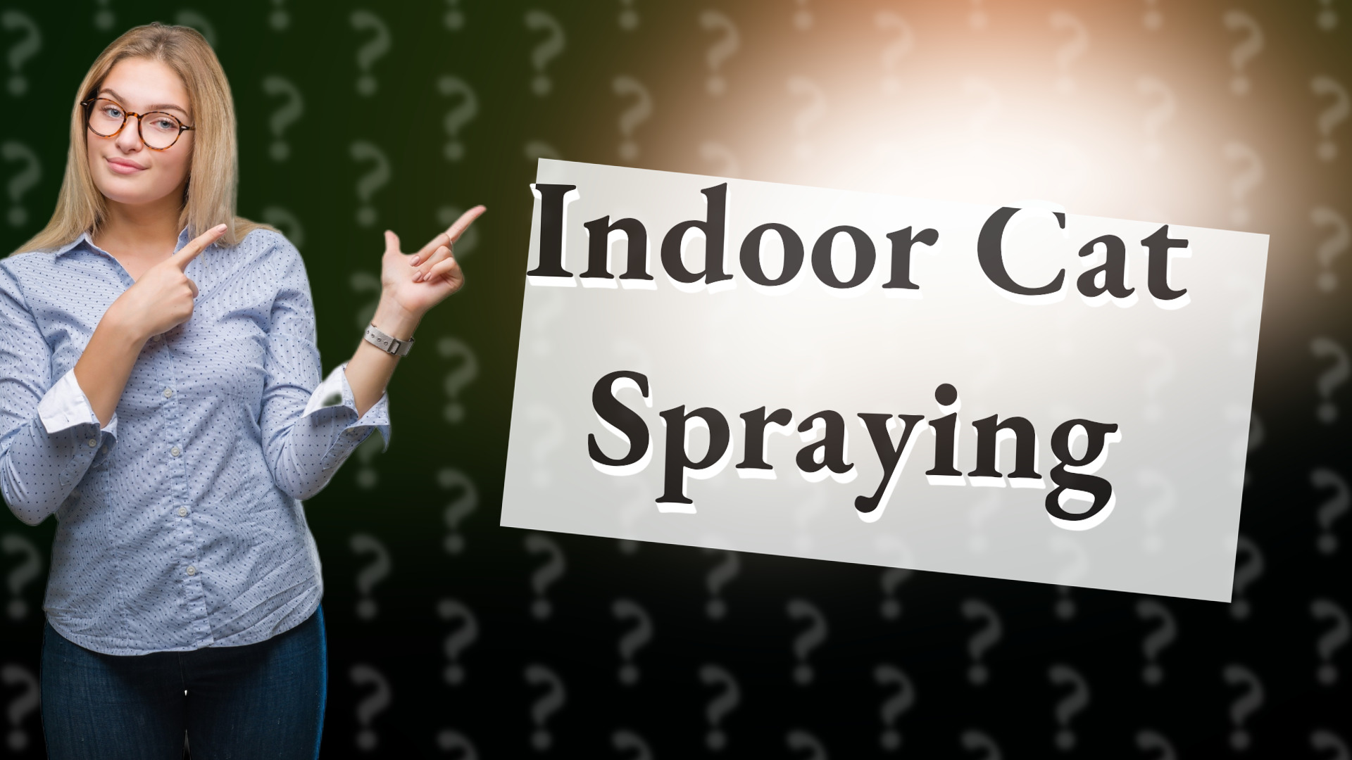 Indoor Cat Spraying